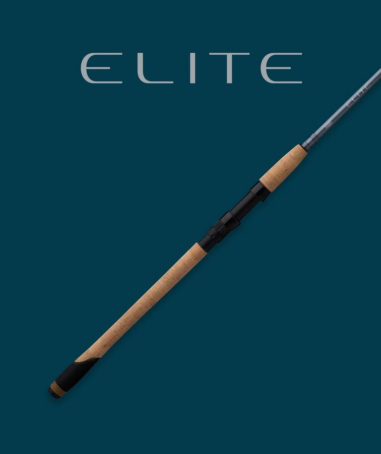 Fenwick Eagle Fly Rods