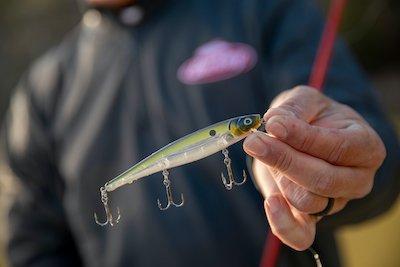 Catch Early Spring Bass Slow Rolling Weedless Swimbaits