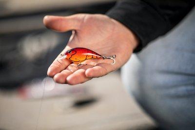 Best Bass Bait For Spring Fishing