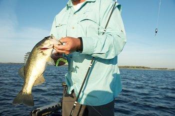 Fishing a Big 10-Inch Worm for Summer Bass 