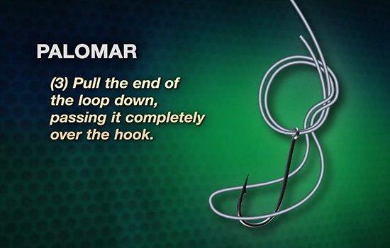 Double Palomar Knot - Pure Fishing