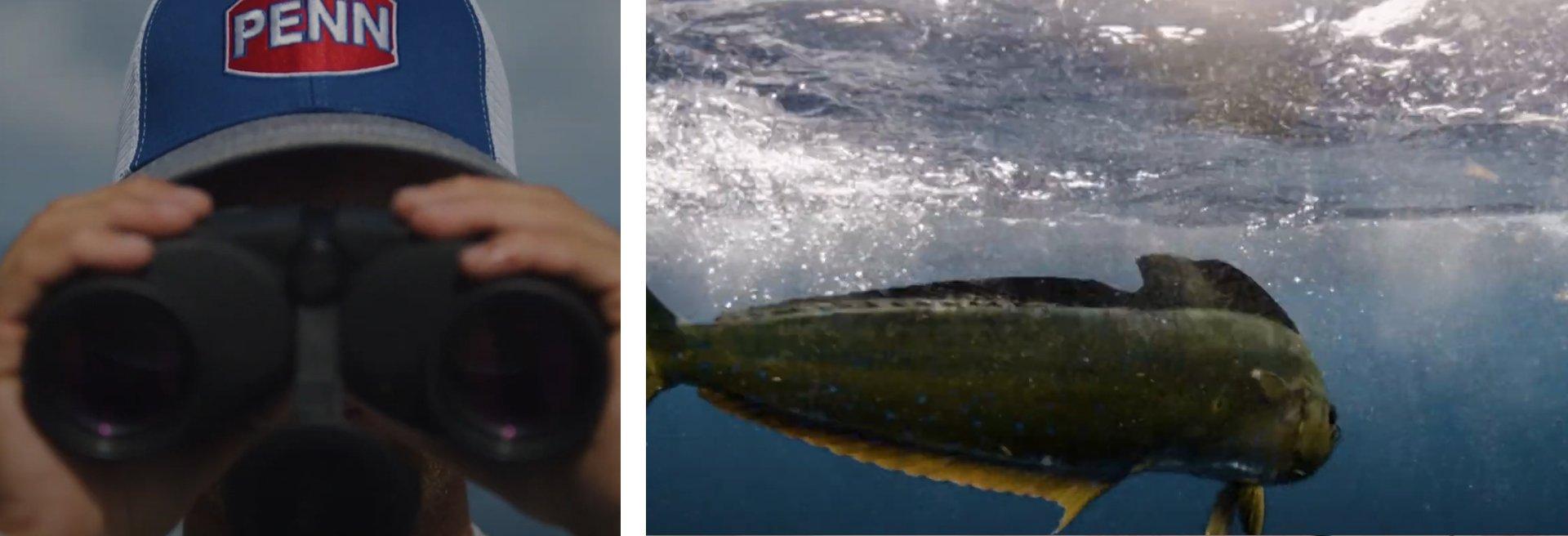Left: person in Penn hat looking into binoculars; Right: fish swimming underwater