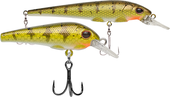 Rainbow Trout Hit Stick Crankbait