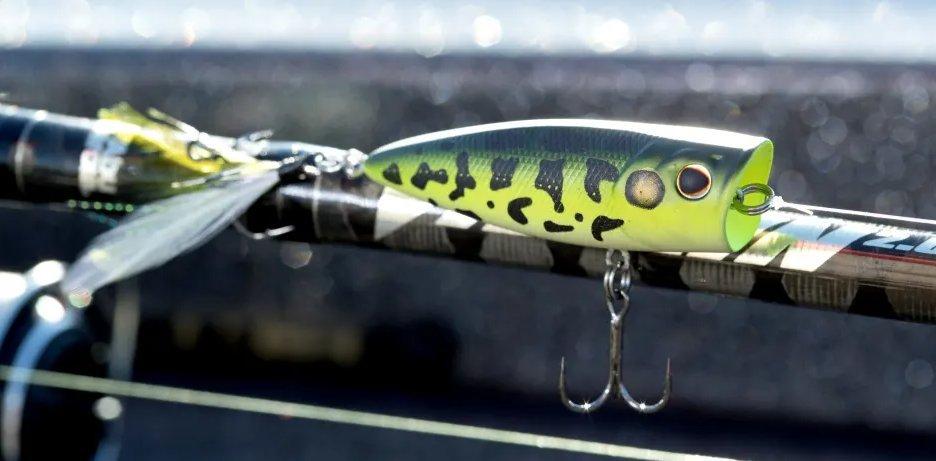 Topwater 101: Meet the family!