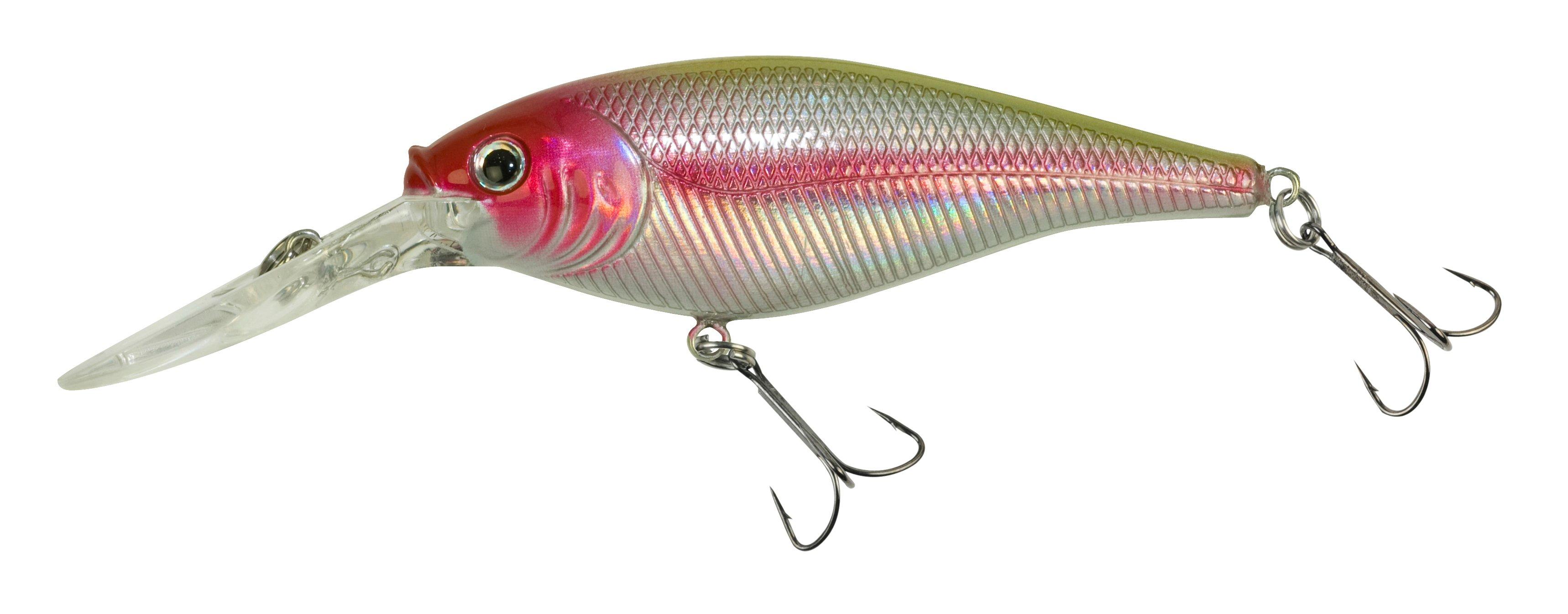 Berkley Flicker Minnow Crankbait #5 (Orange Belly Perch) - Conseil scolaire  francophone de Terre-Neuve et Labrador