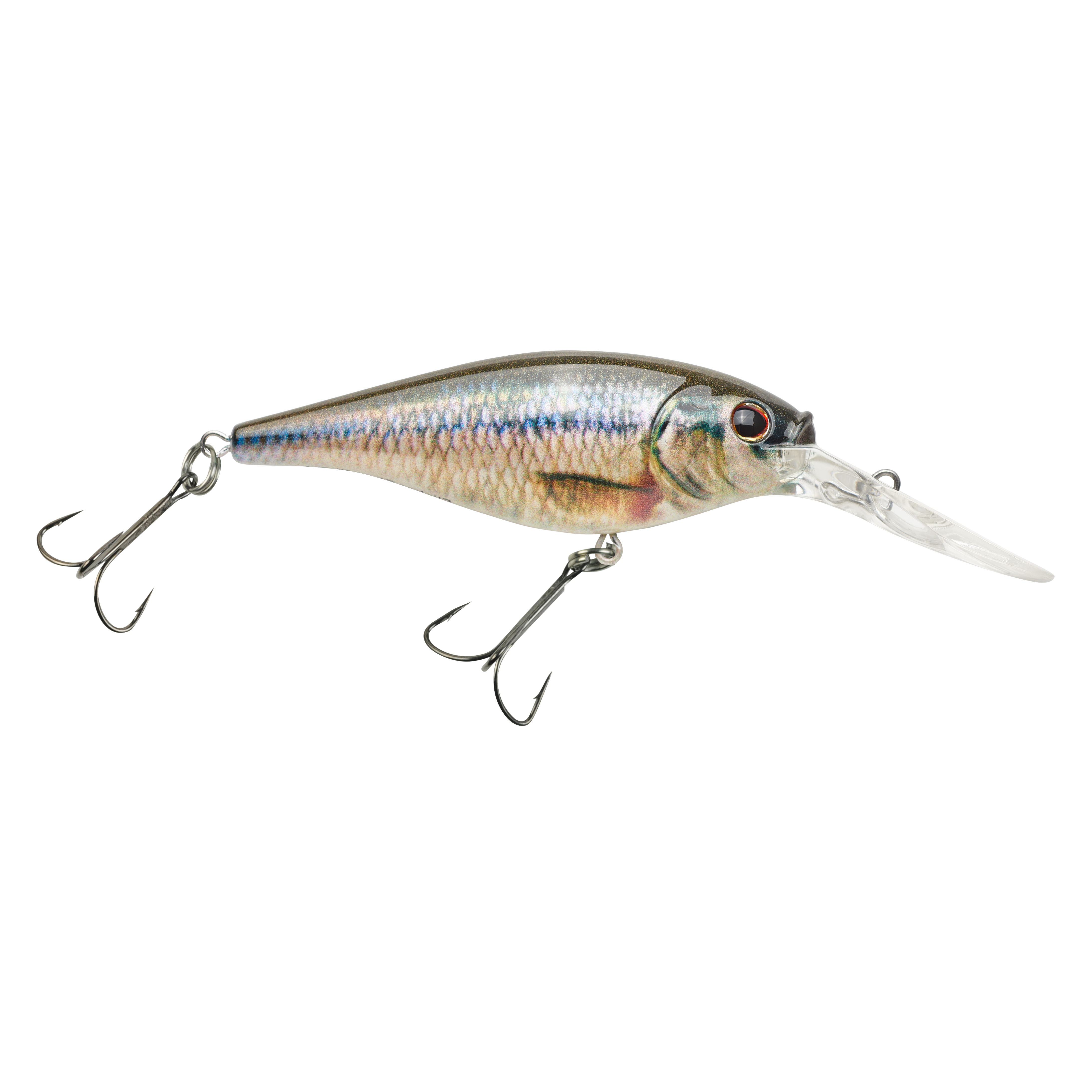 HD Fathead Minnow