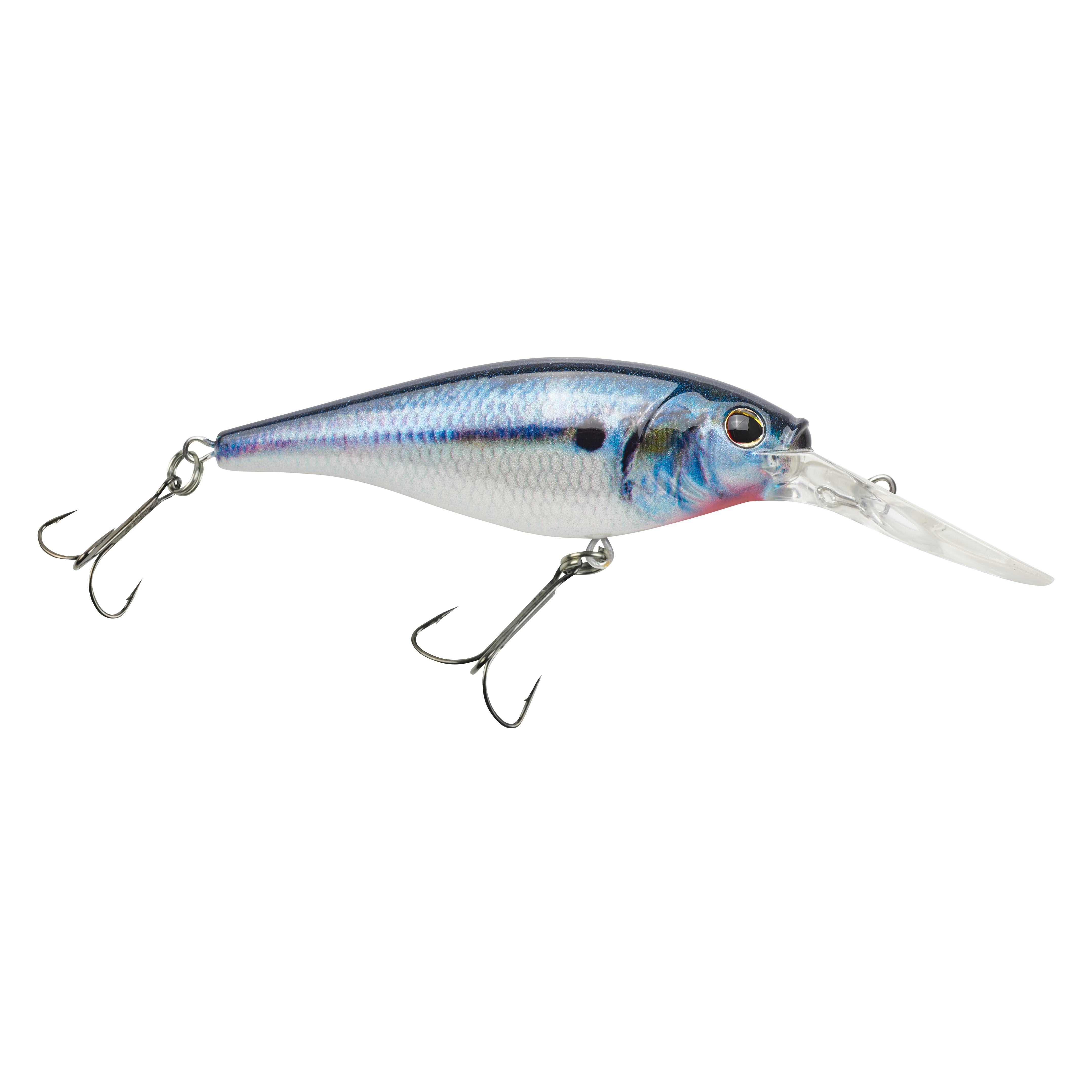 HD Threadfin Shad