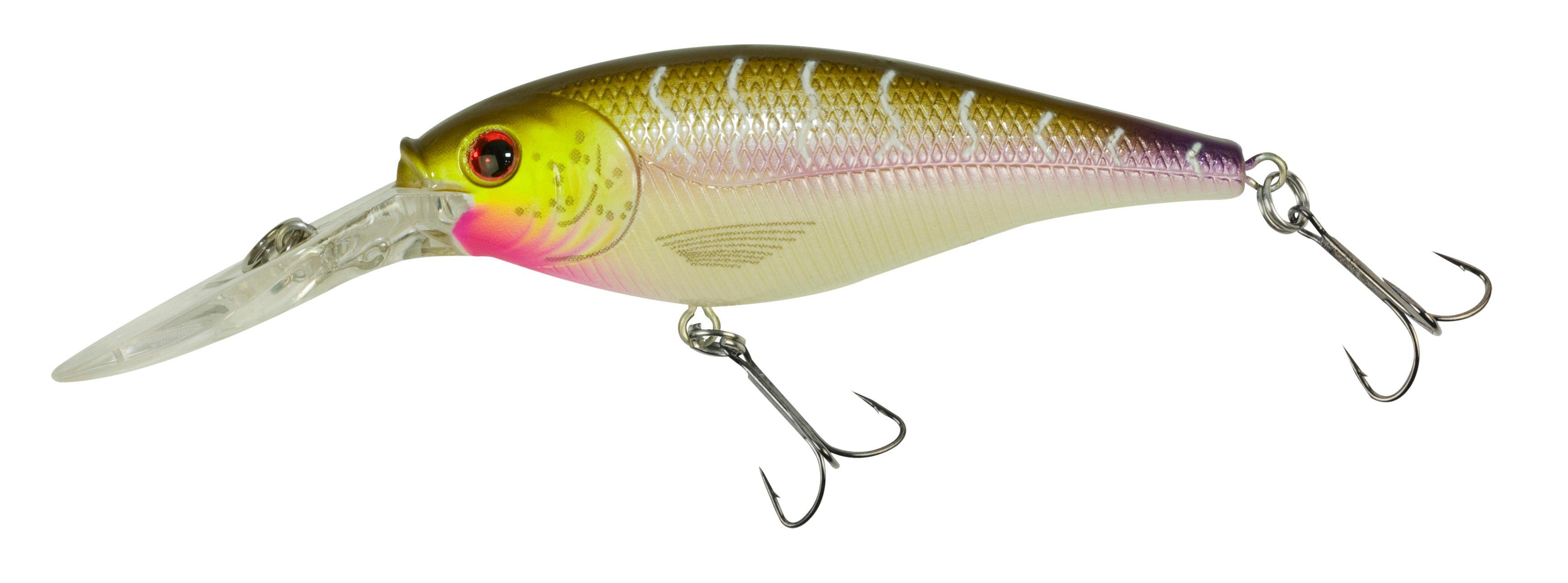  Berkley Flicker Shad Fishing Lure, Flashy Perch, 5/16 oz, 2  3/4in  7cm Crankbaits, Size, Profile and Dive Depth Imitates Real Shad,  Equipped with Fusion19 Hook : Sports & Outdoors