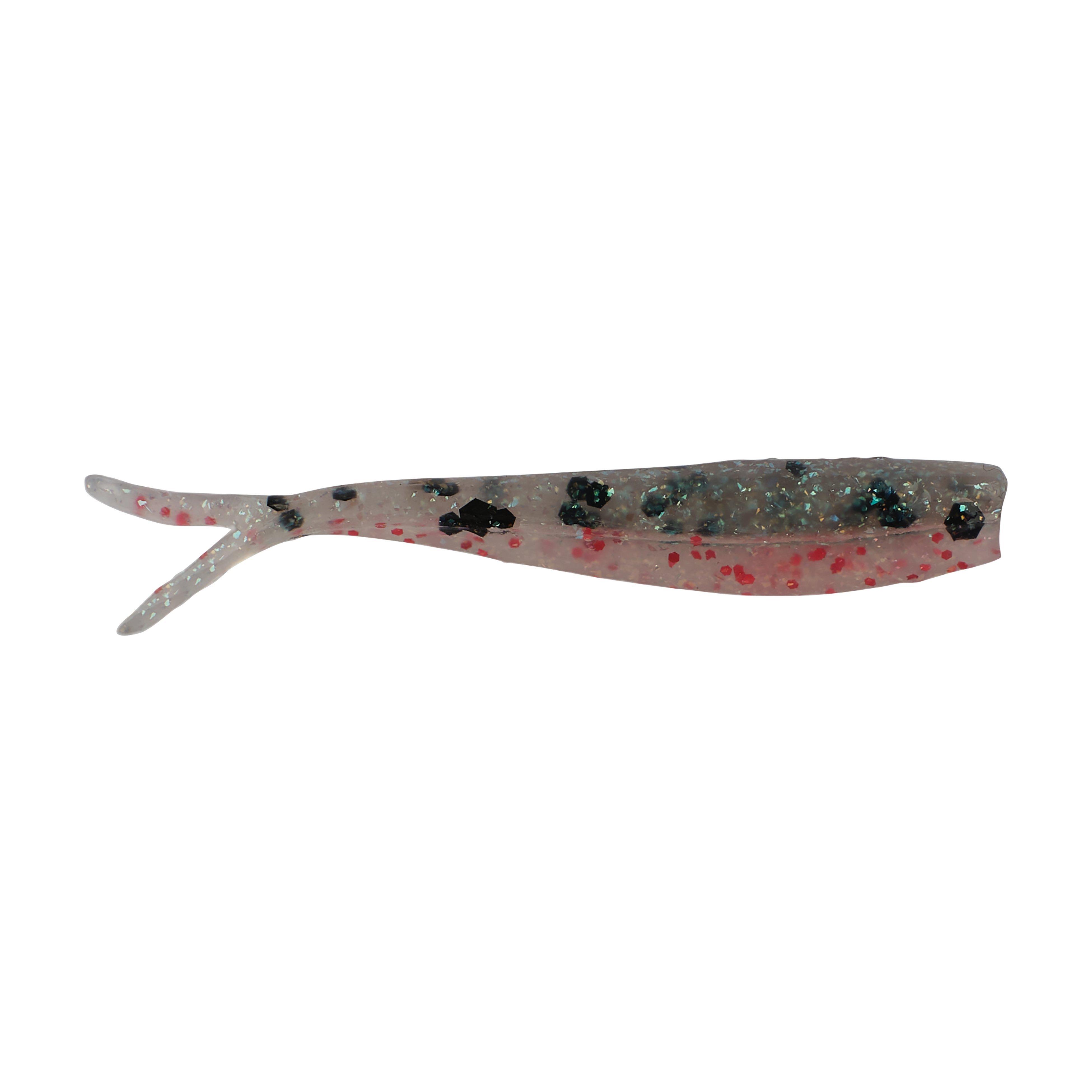 Rainbow Trout