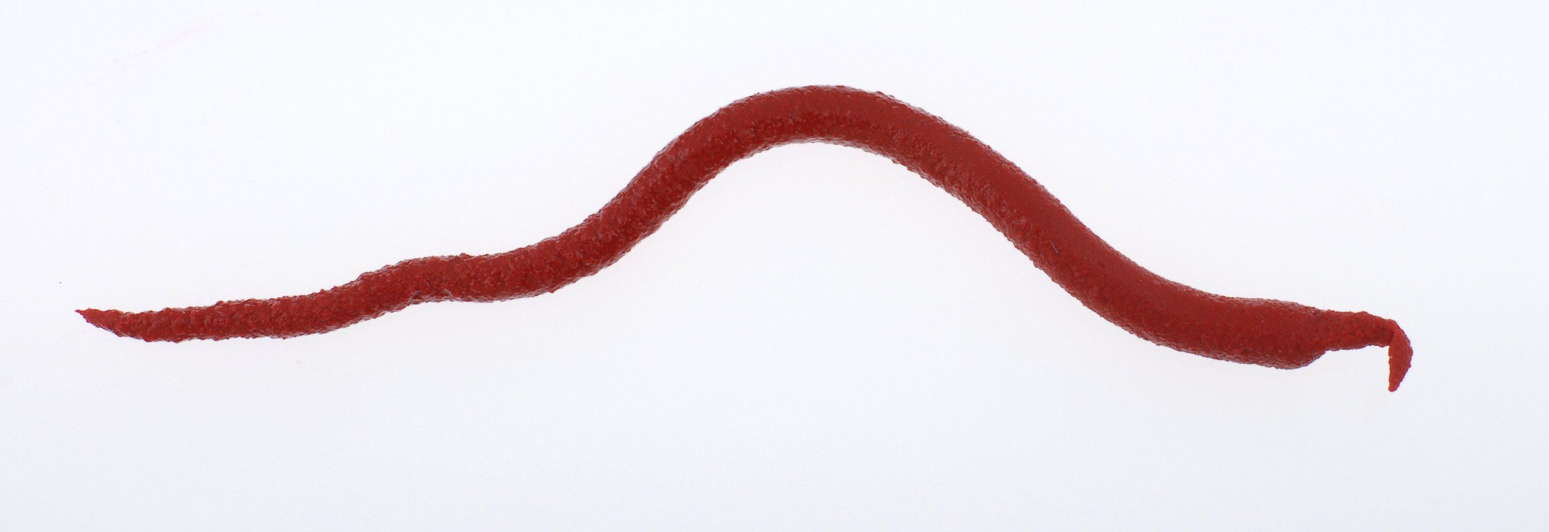 Gulp!® Saltwater Extruded Bloodworm