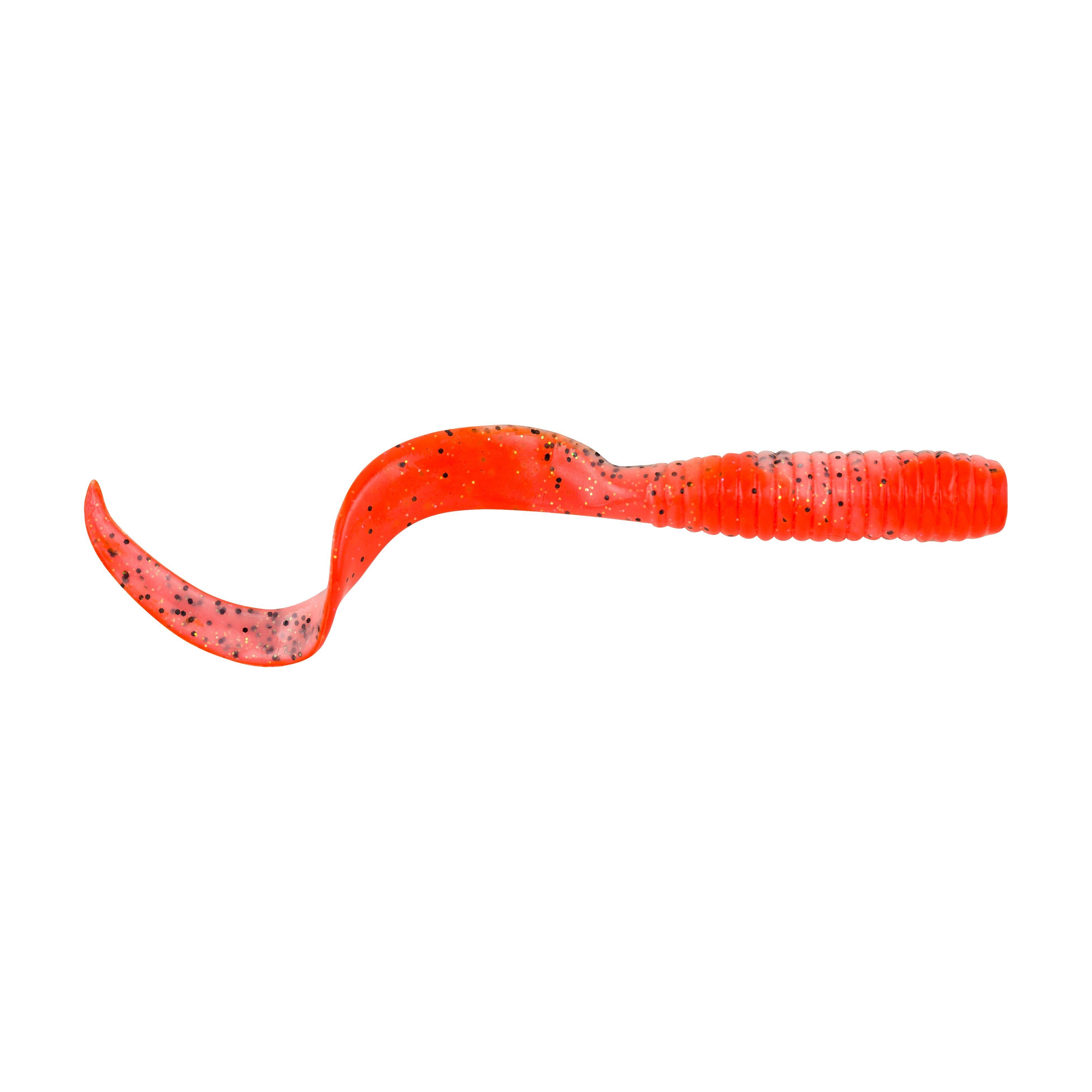 Orange Belly Shrimp