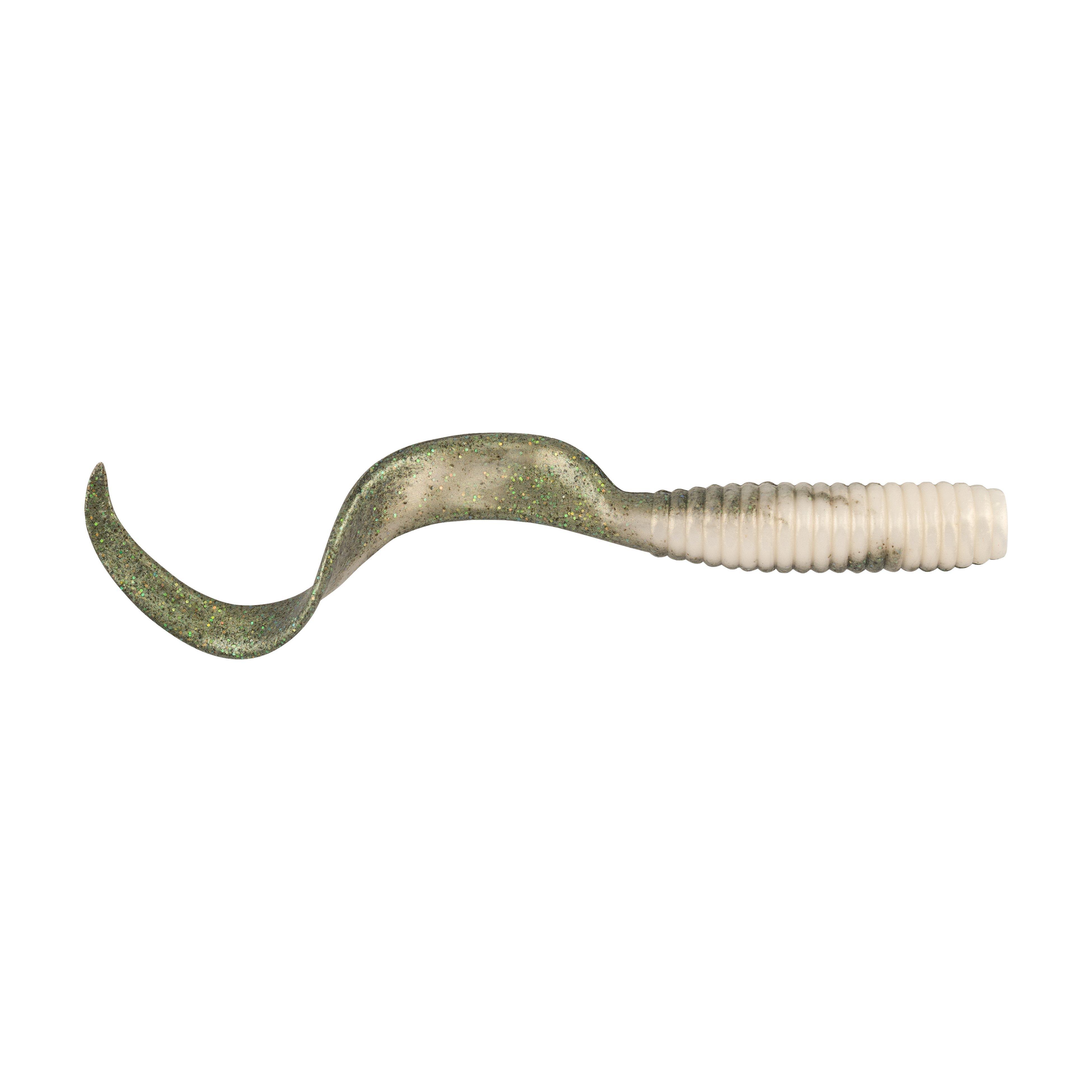 Sardine