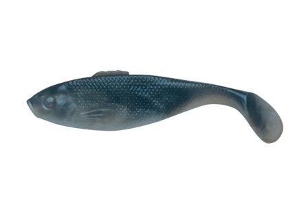 Anchovy