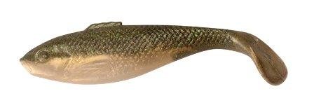 Sardine