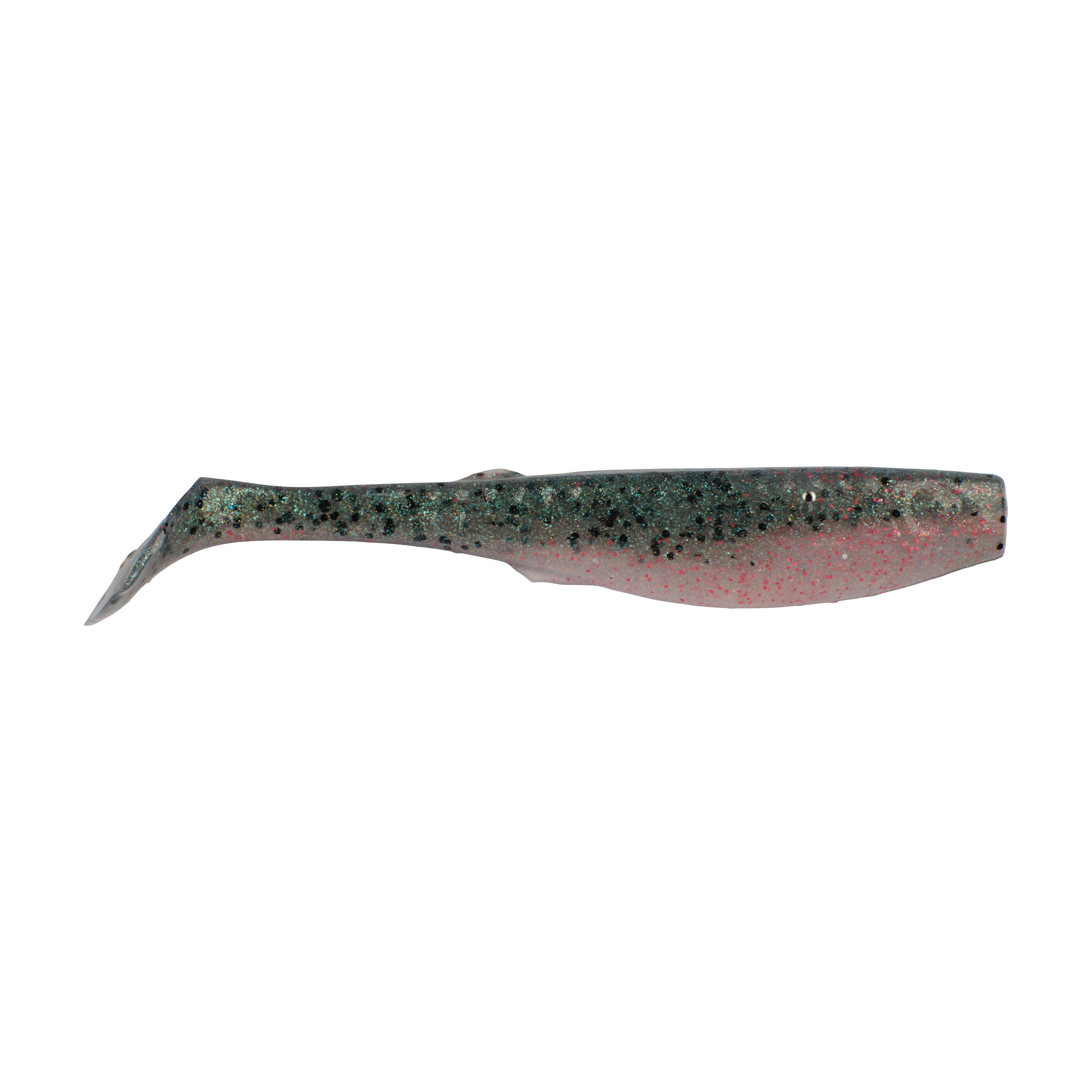 Rainbow Trout