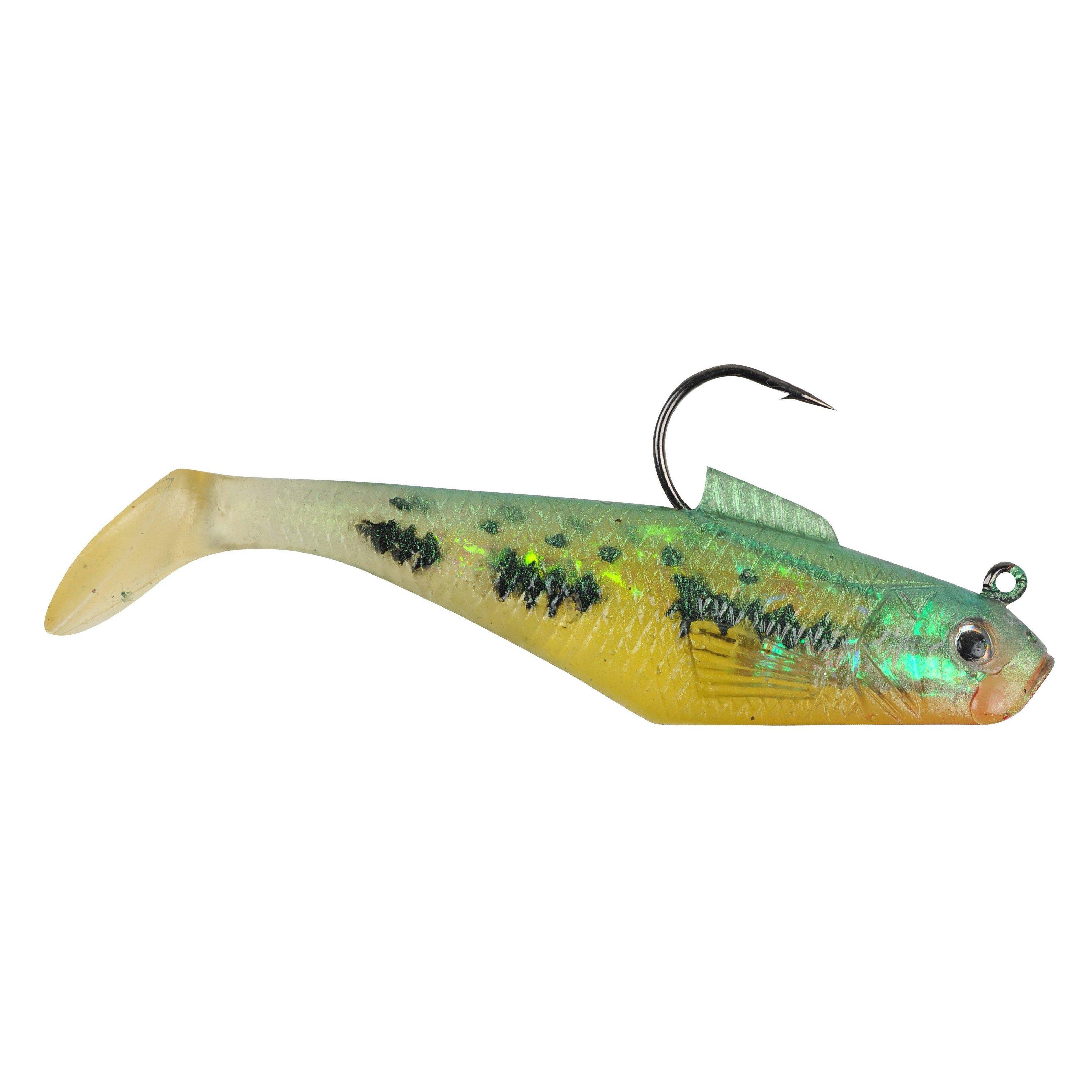 Baby Bass