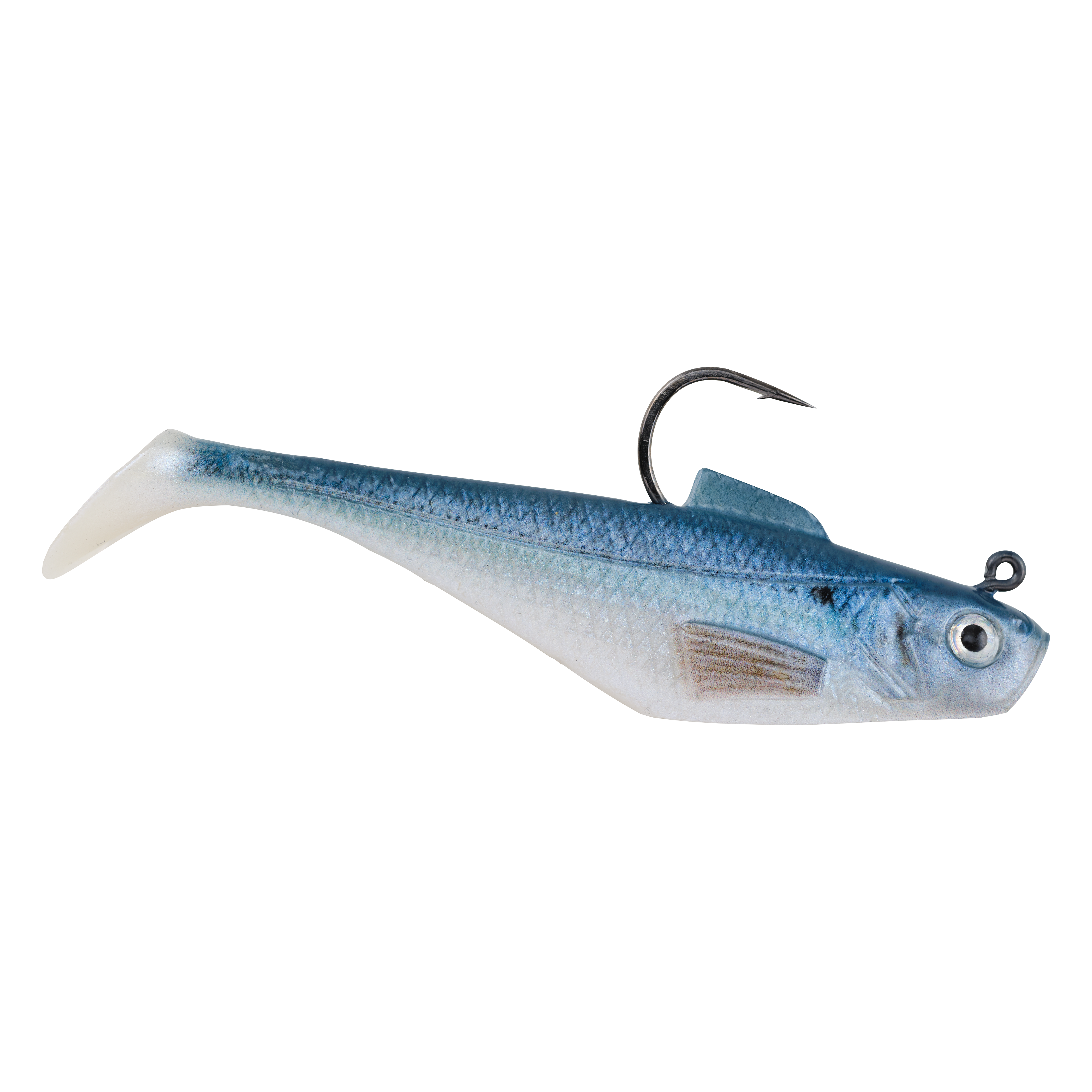 HD Blueback Herring