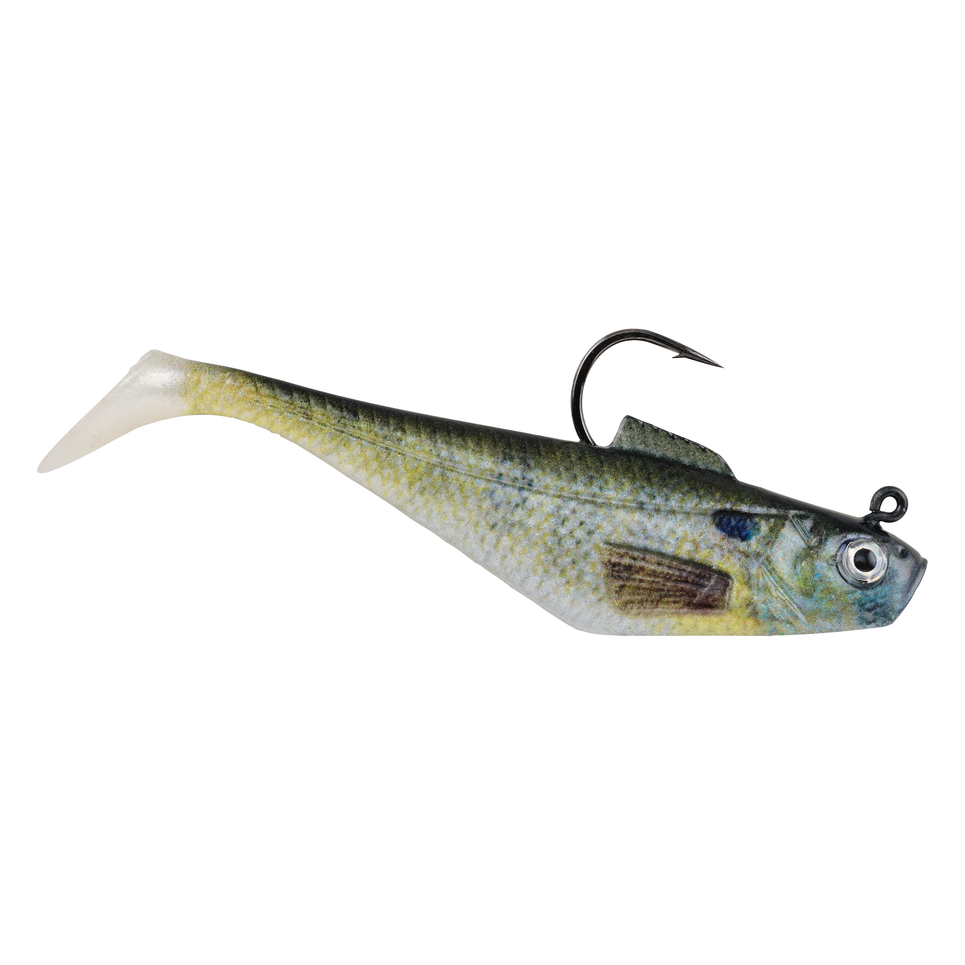 HD Bluegill