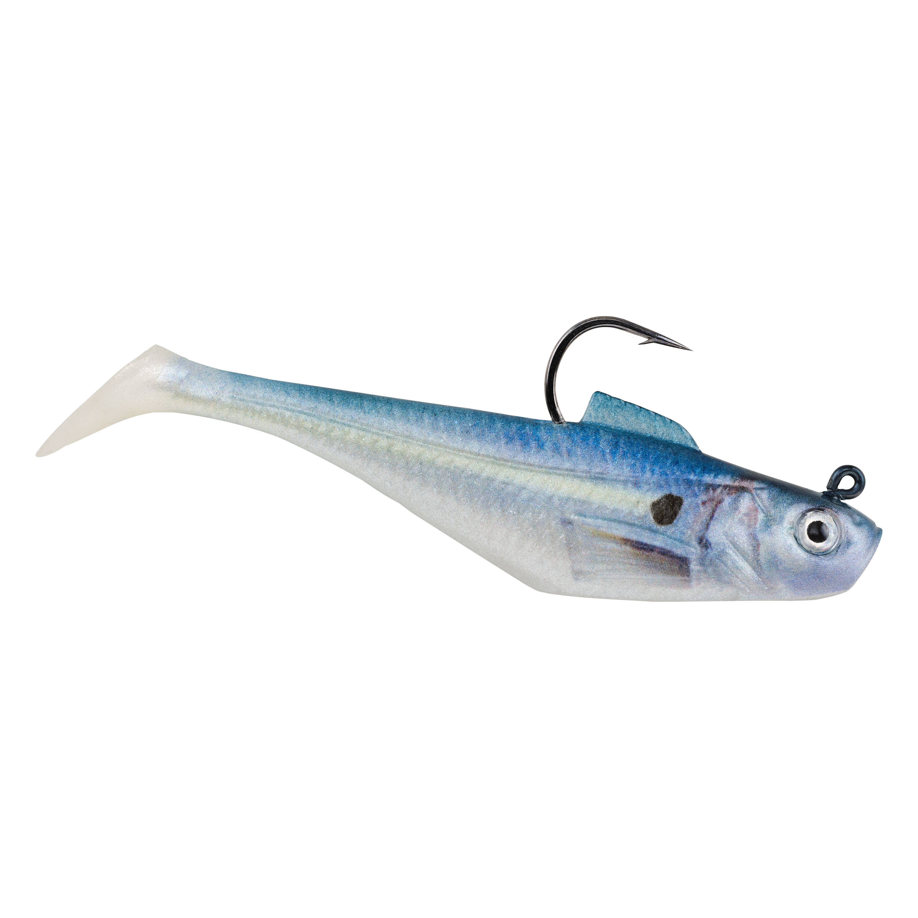 HD Gizzard Shad