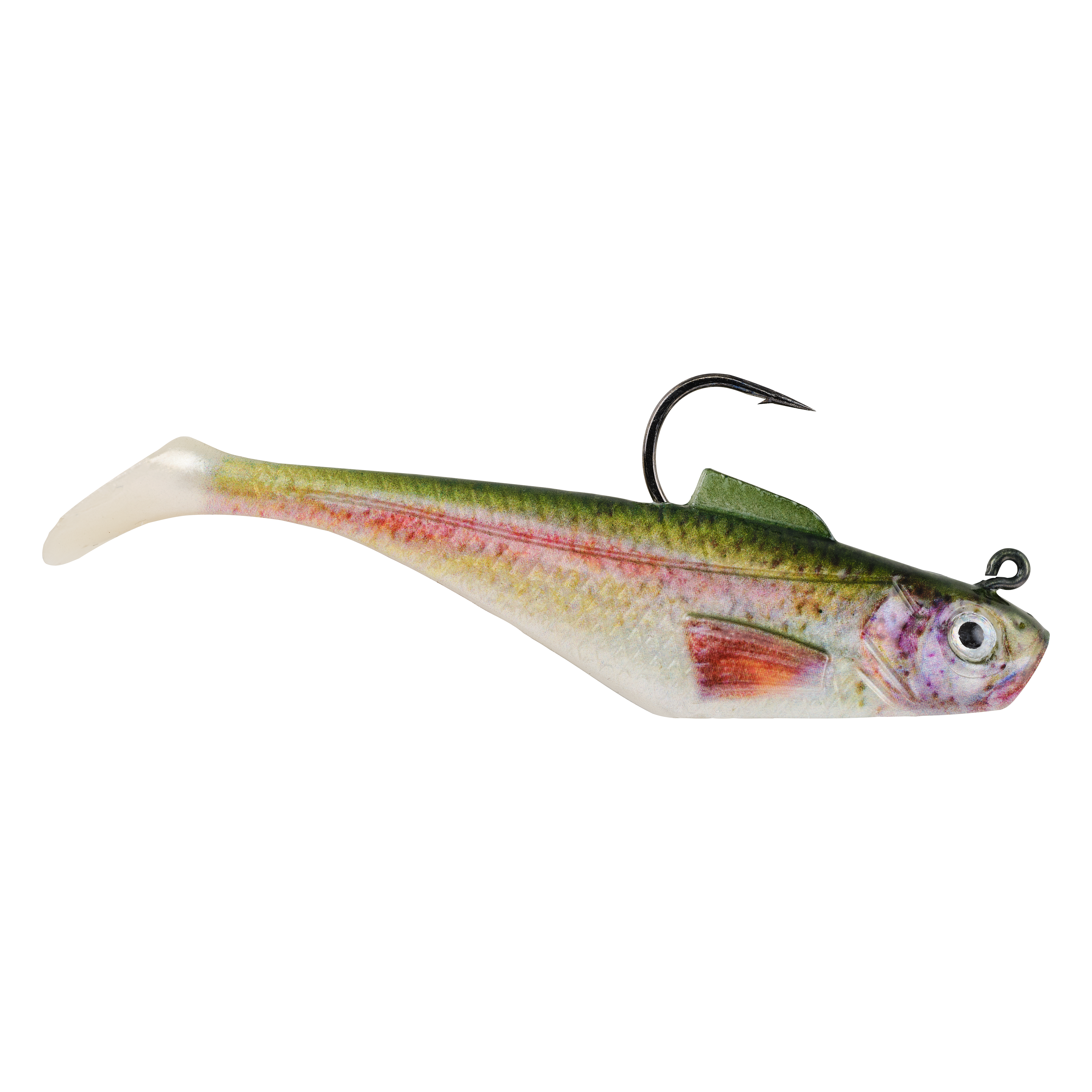 HD Rainbow Trout