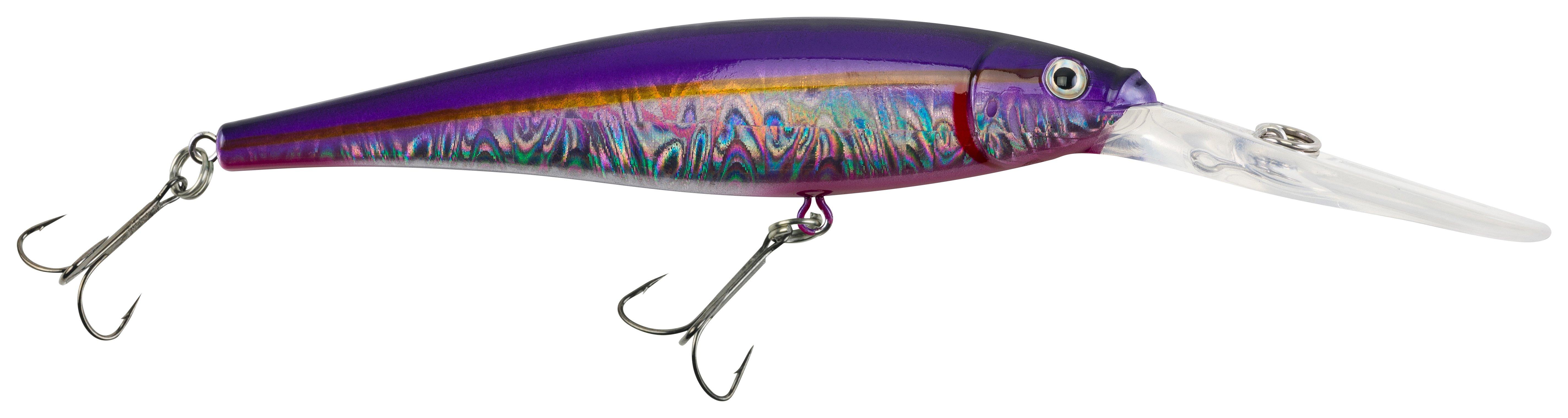 Slick Alewife