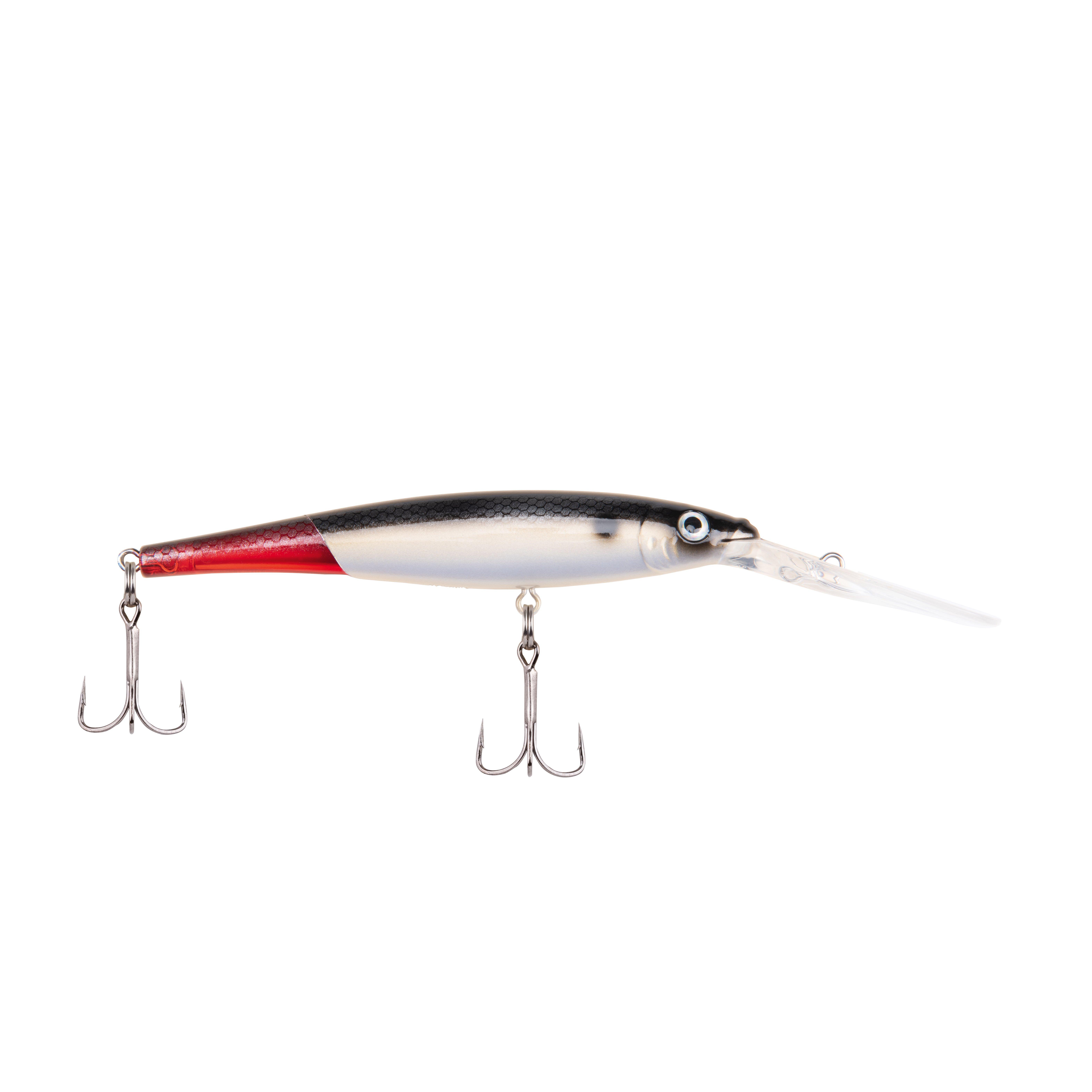 Firetail Red Tail