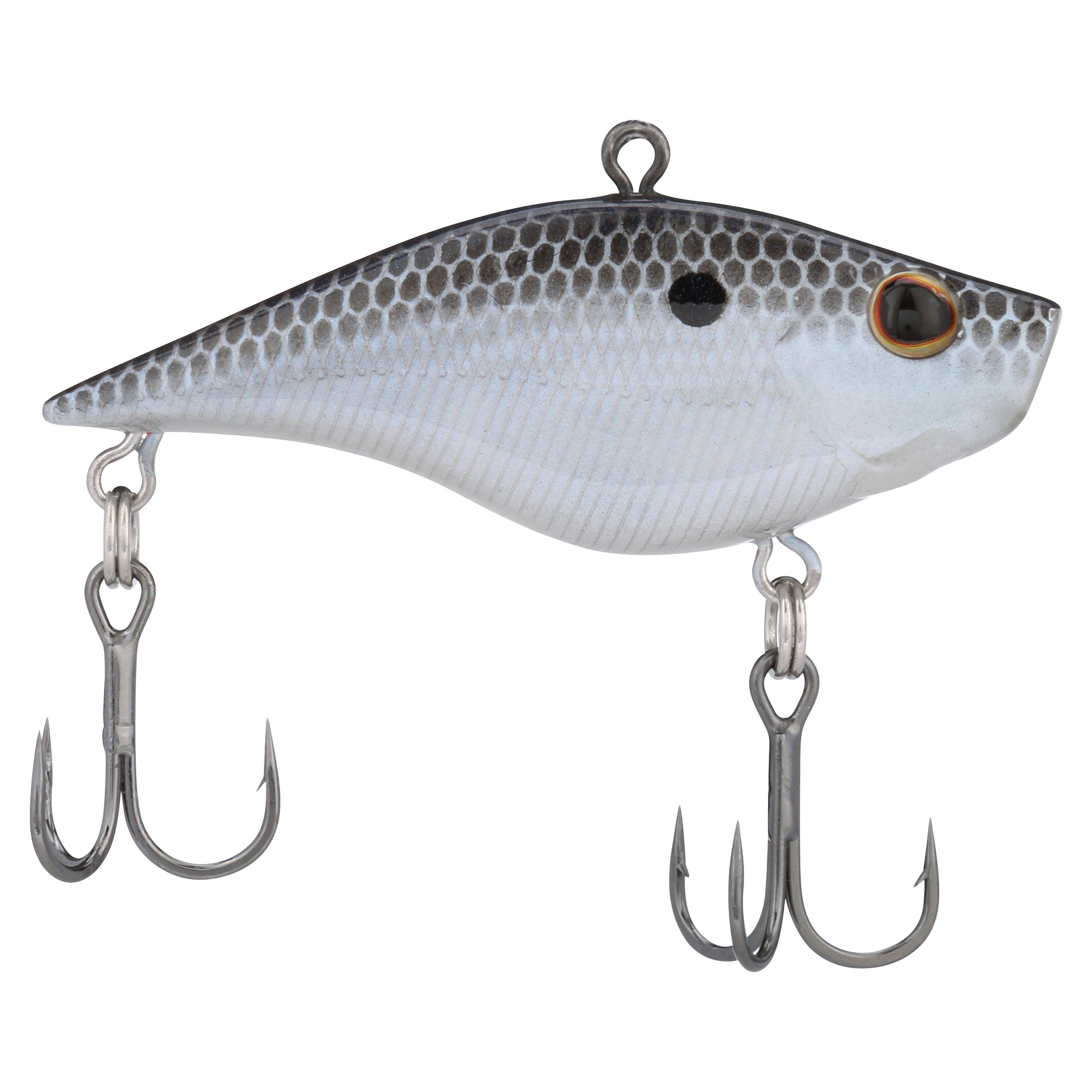 Blue Shad
