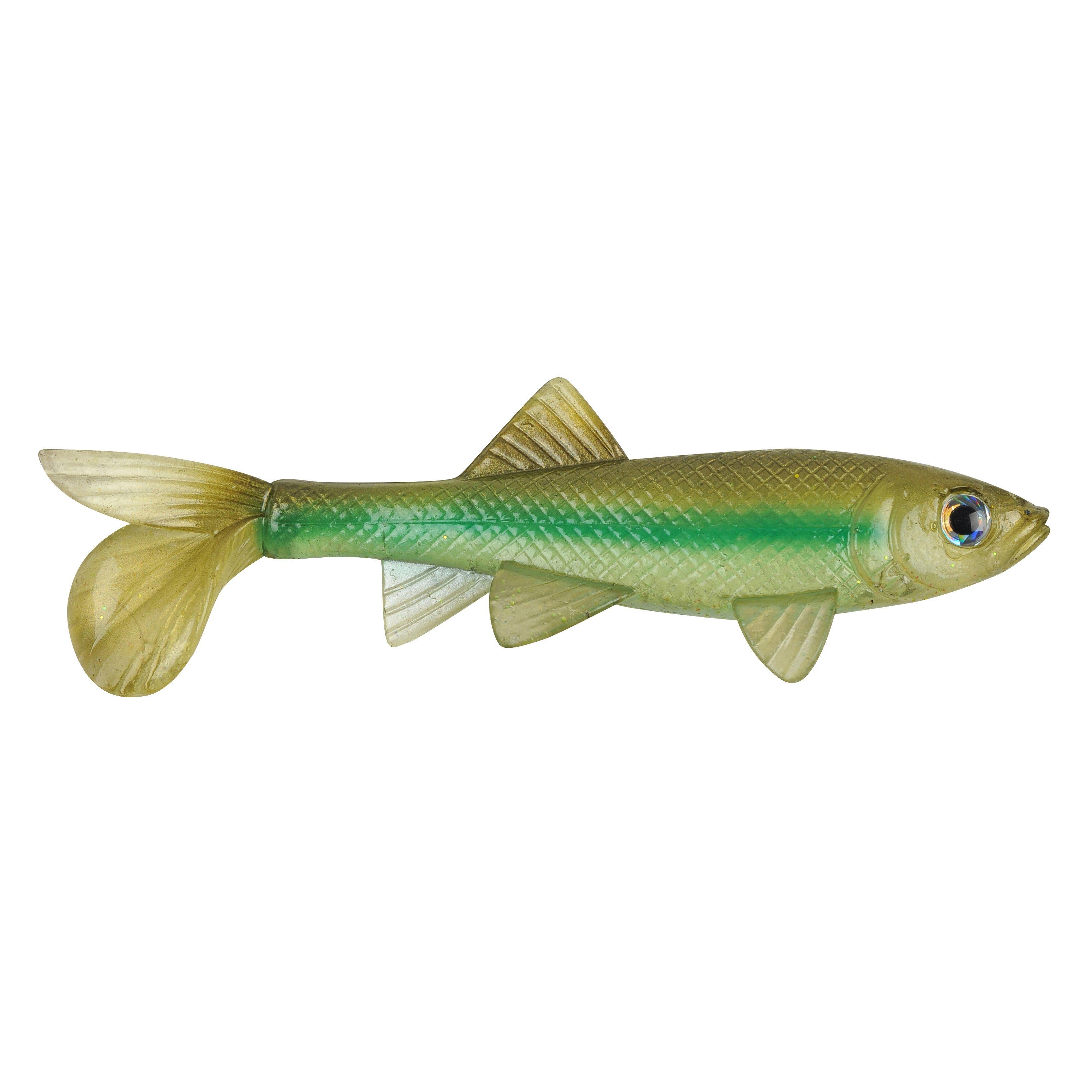 Details about   5Stk Berkley Havos Sick Fish Jr 3 1/8in Rubber Predators Bait Zander,Perch 