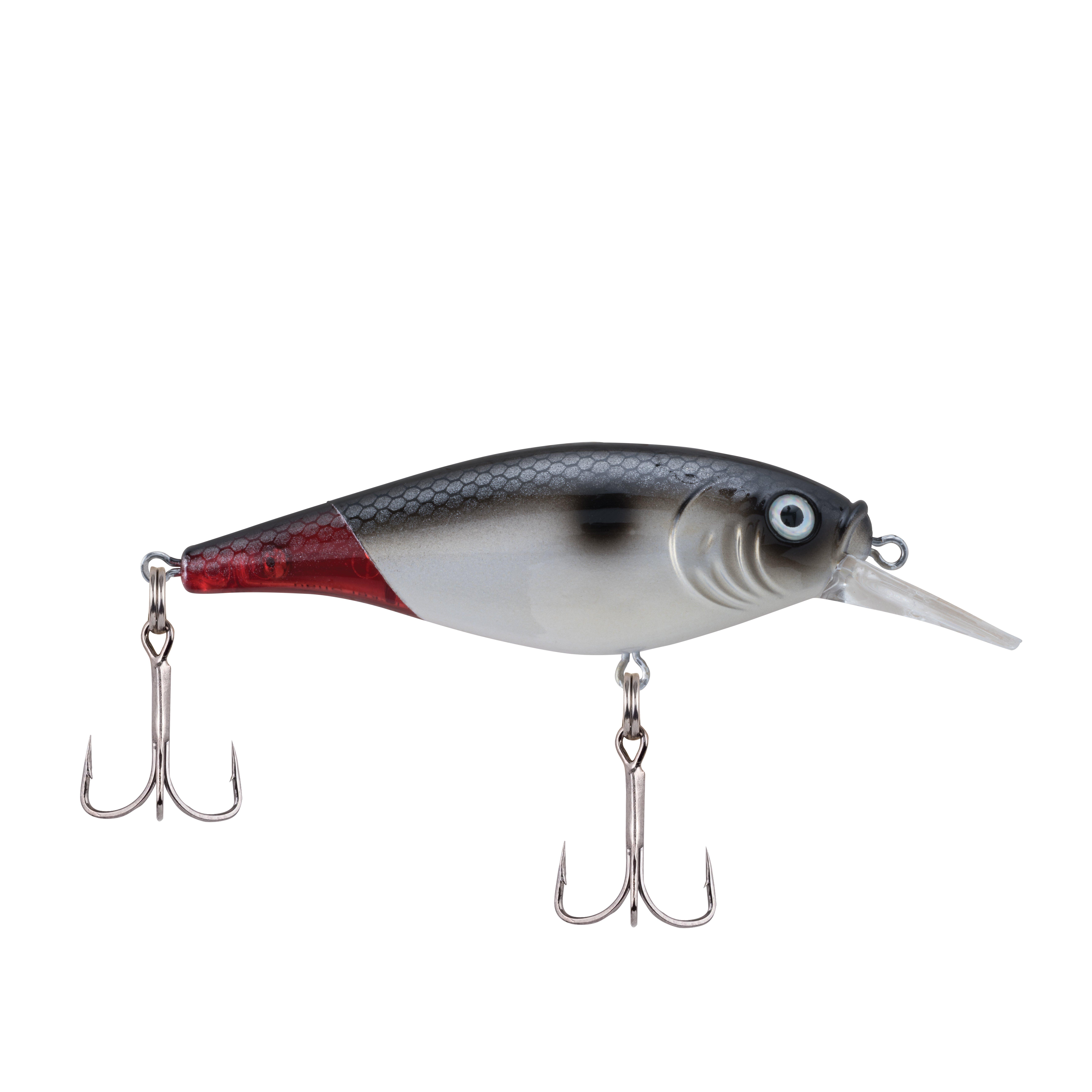 Firetail Red Tail