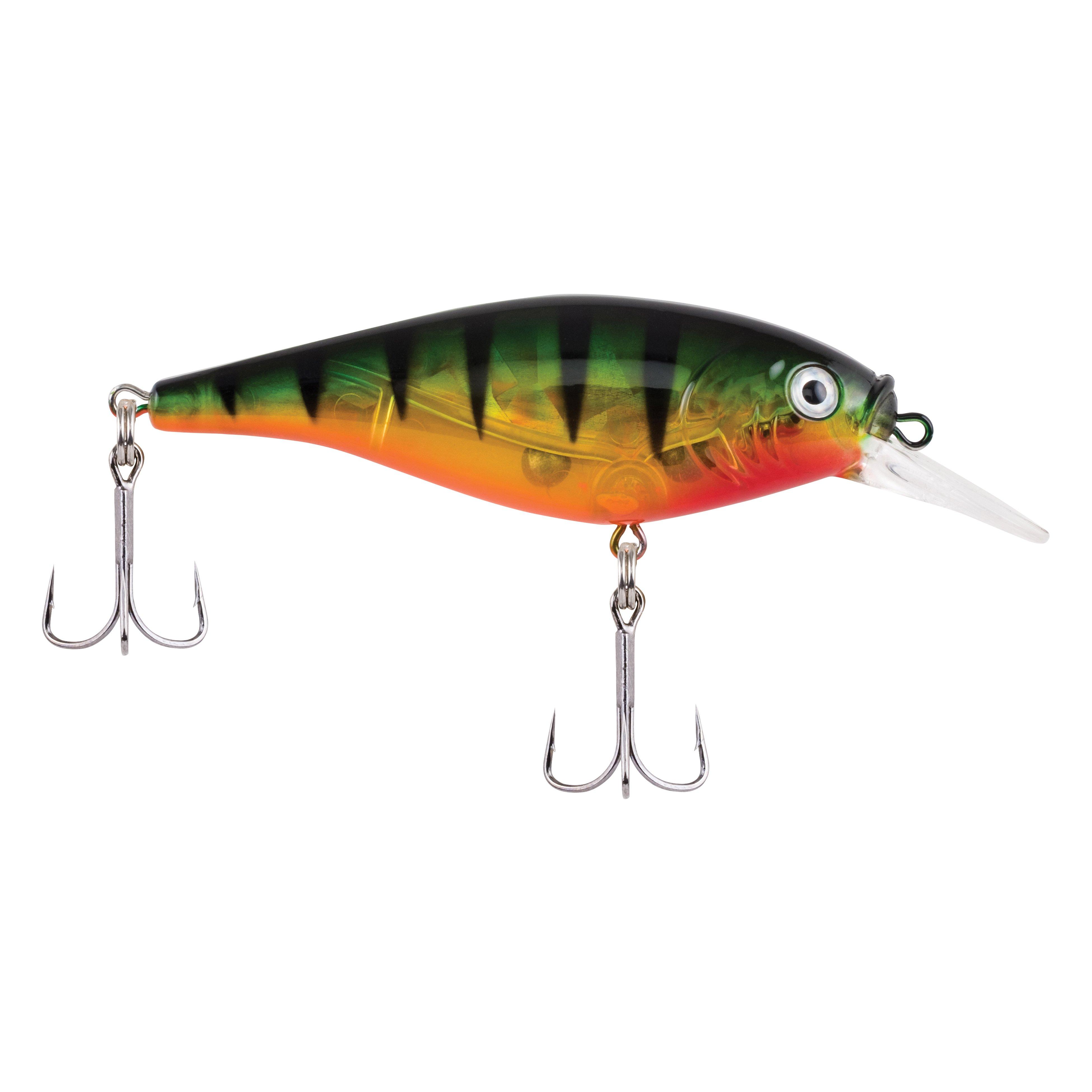 Flashy Perch