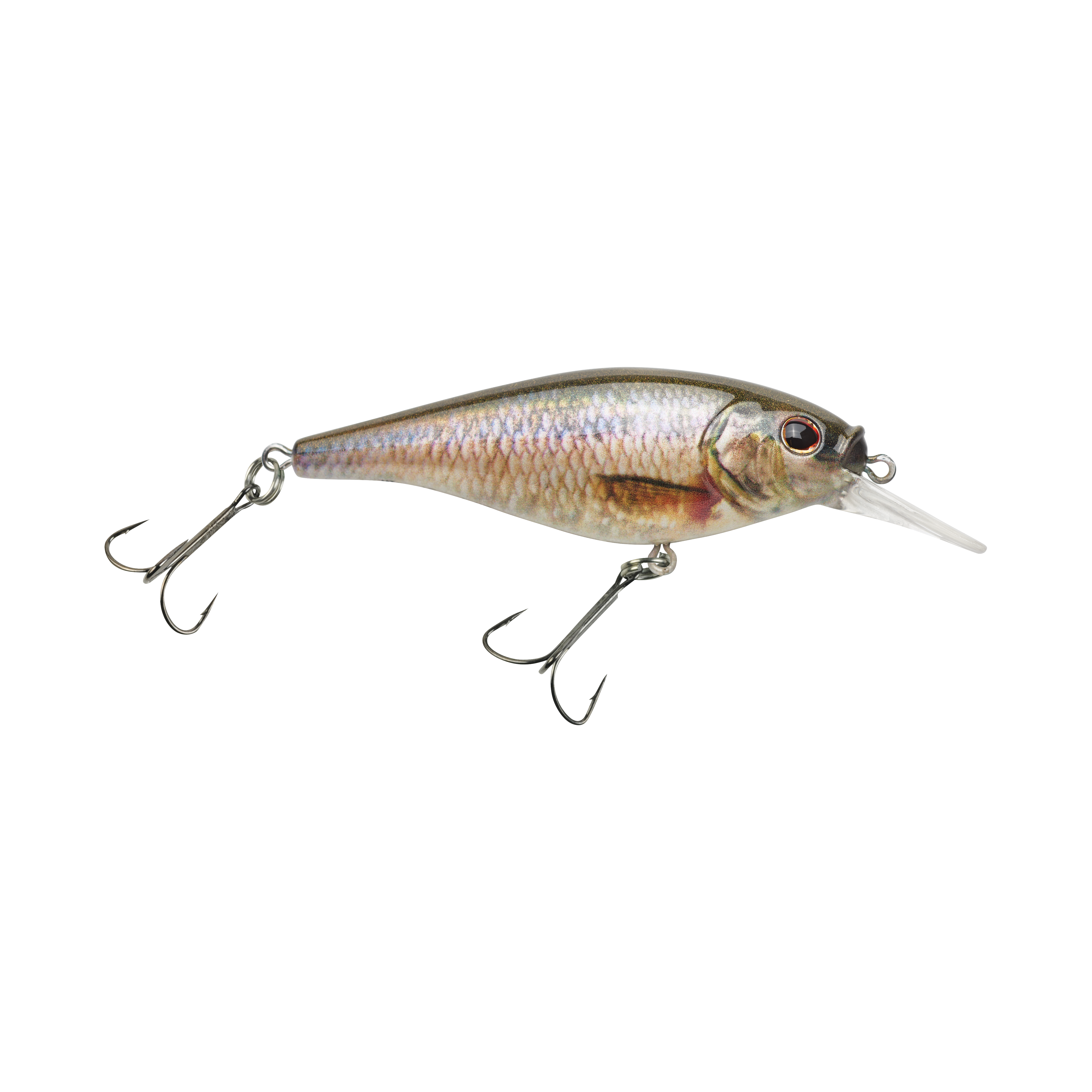 HD Fathead Minnow