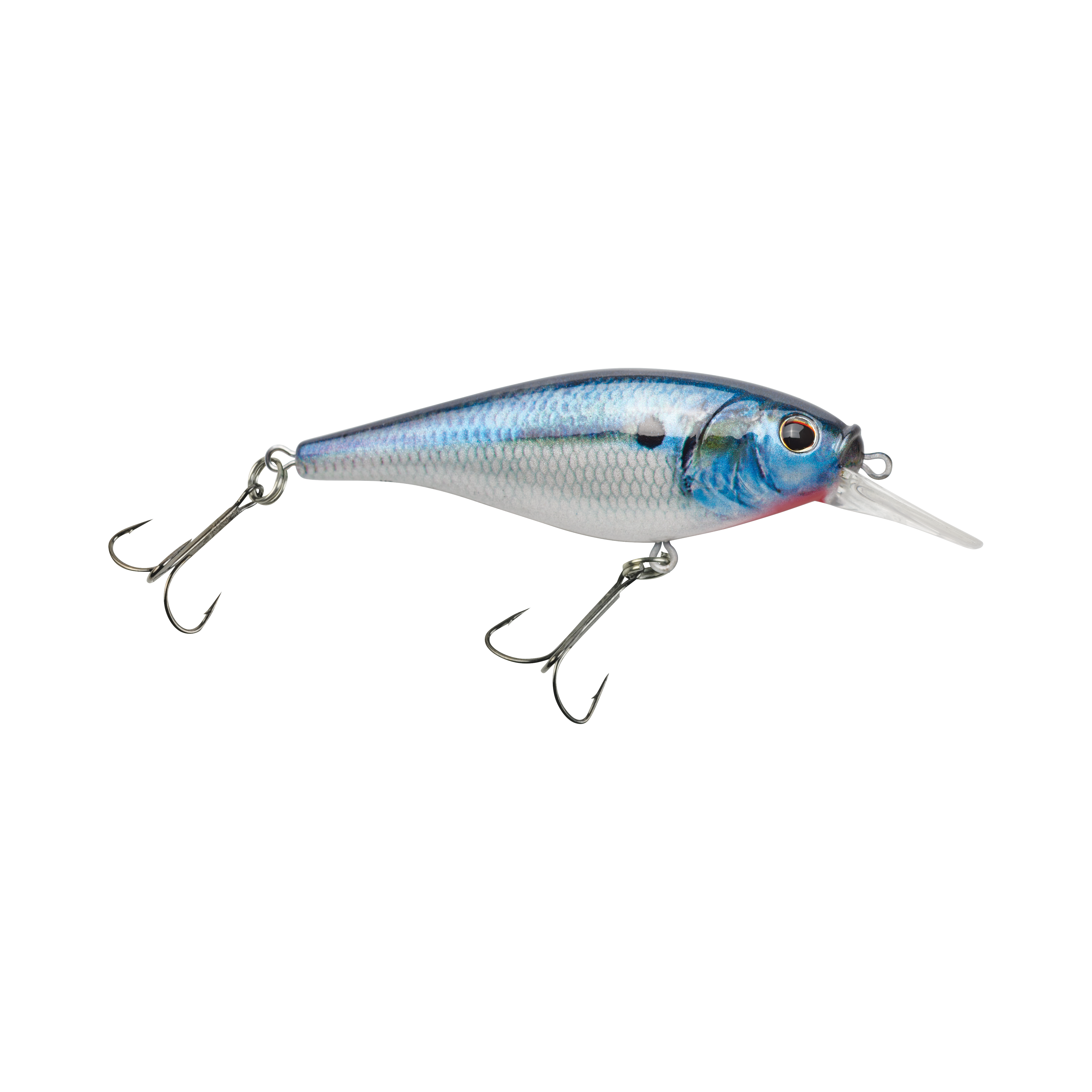 Flicker Shad Shallow HD Threadfin Shad 2/7 oz : : Sports & Outdoors