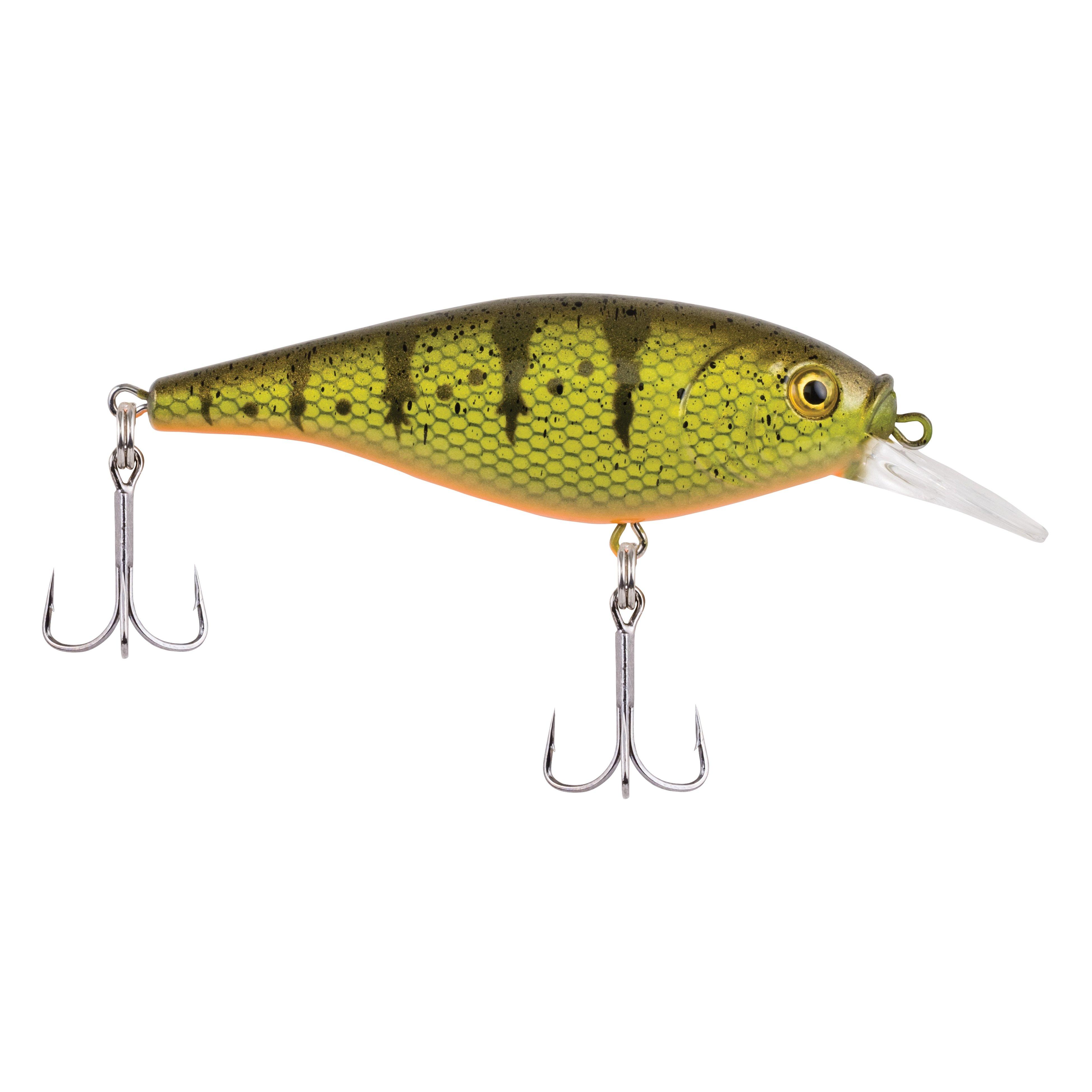 Yellow Perch