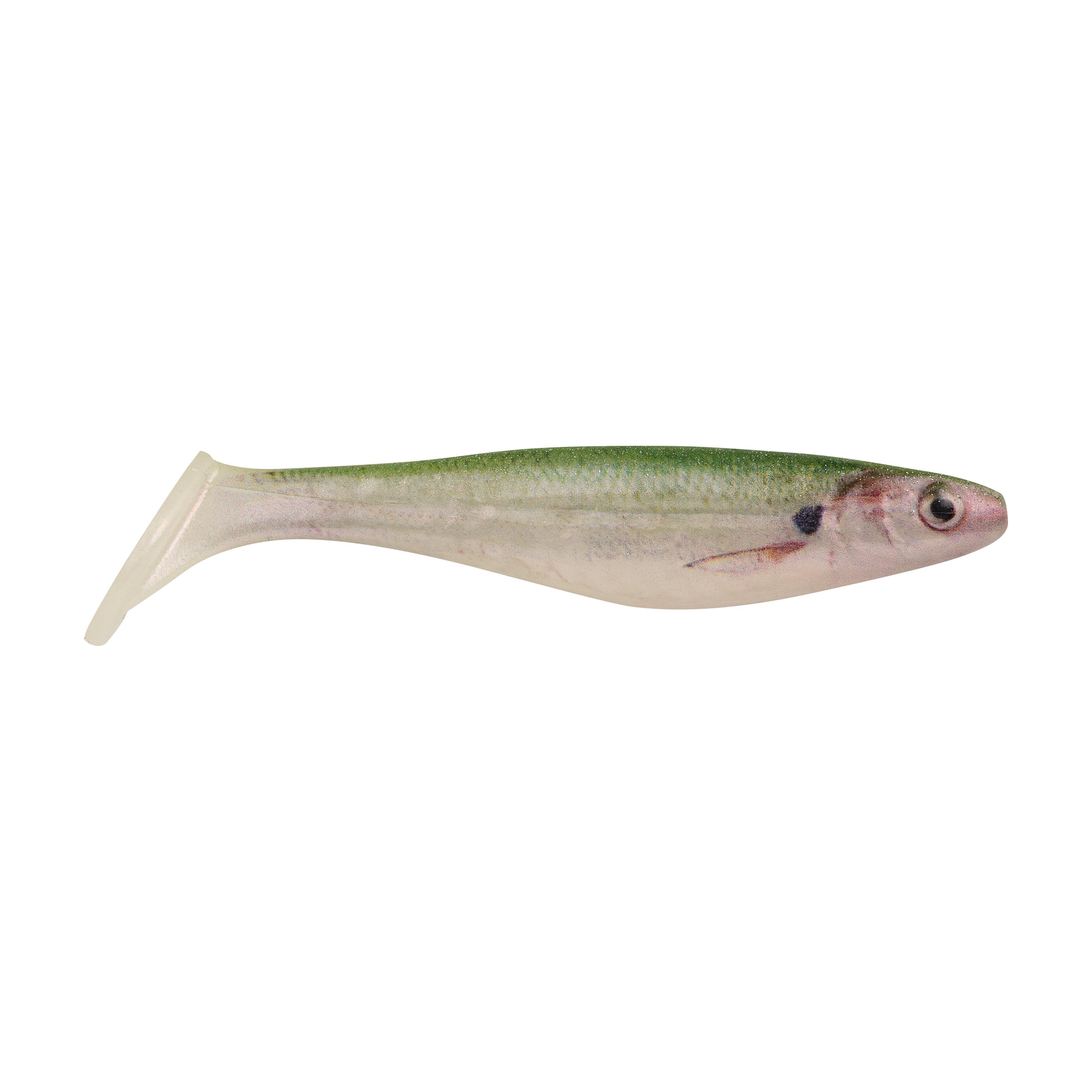 HD Tennessee Shad