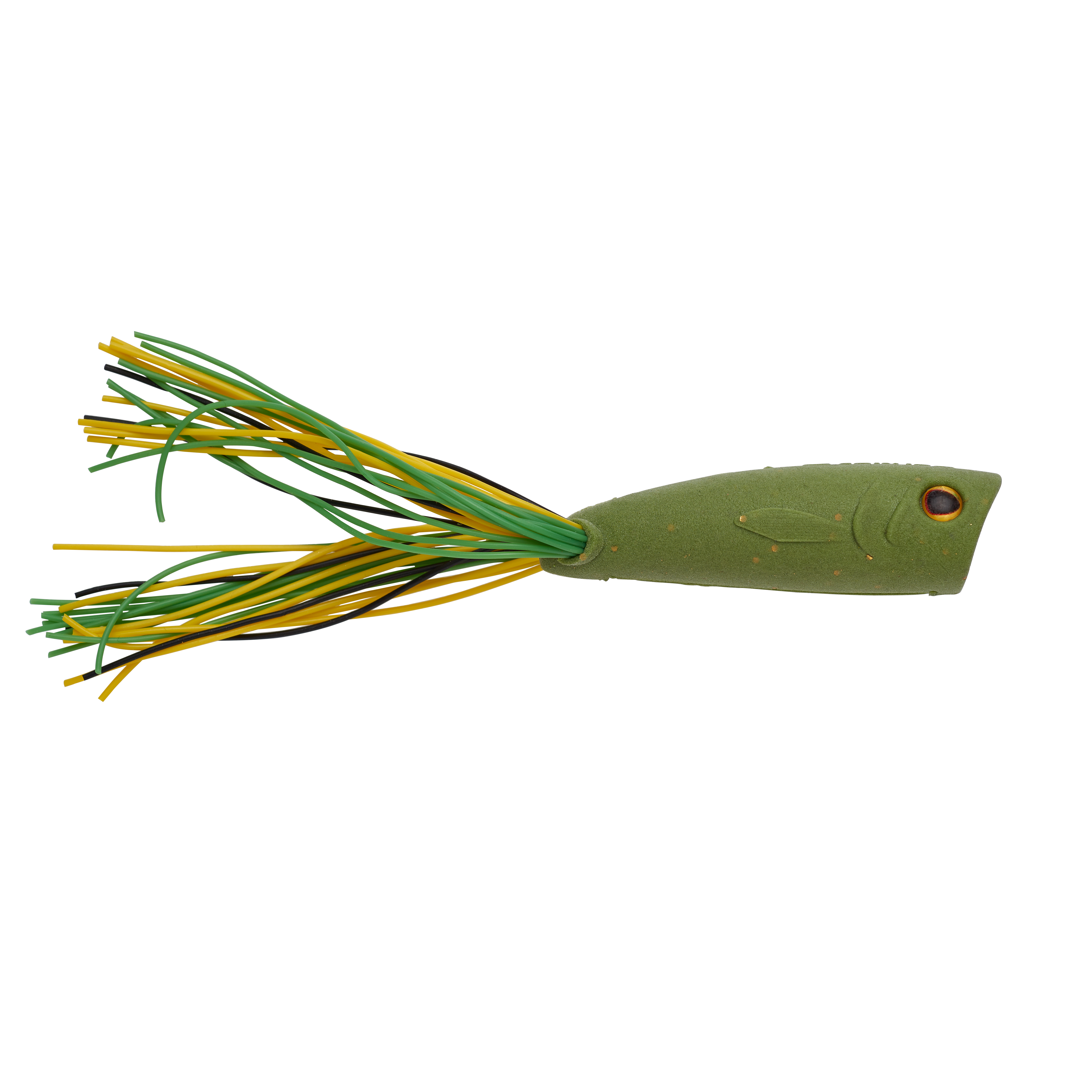 Green Bull Frog