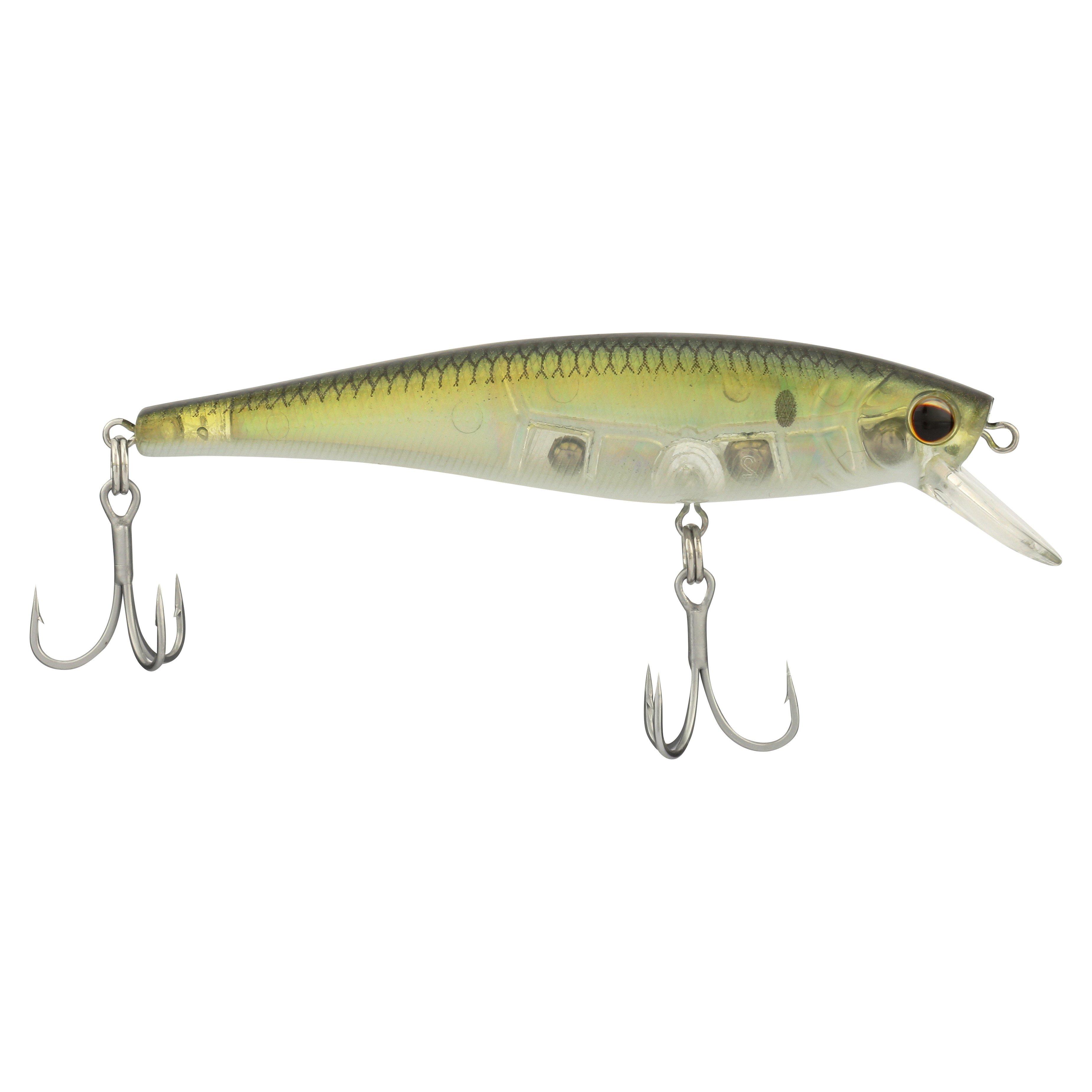 HD Pilchard