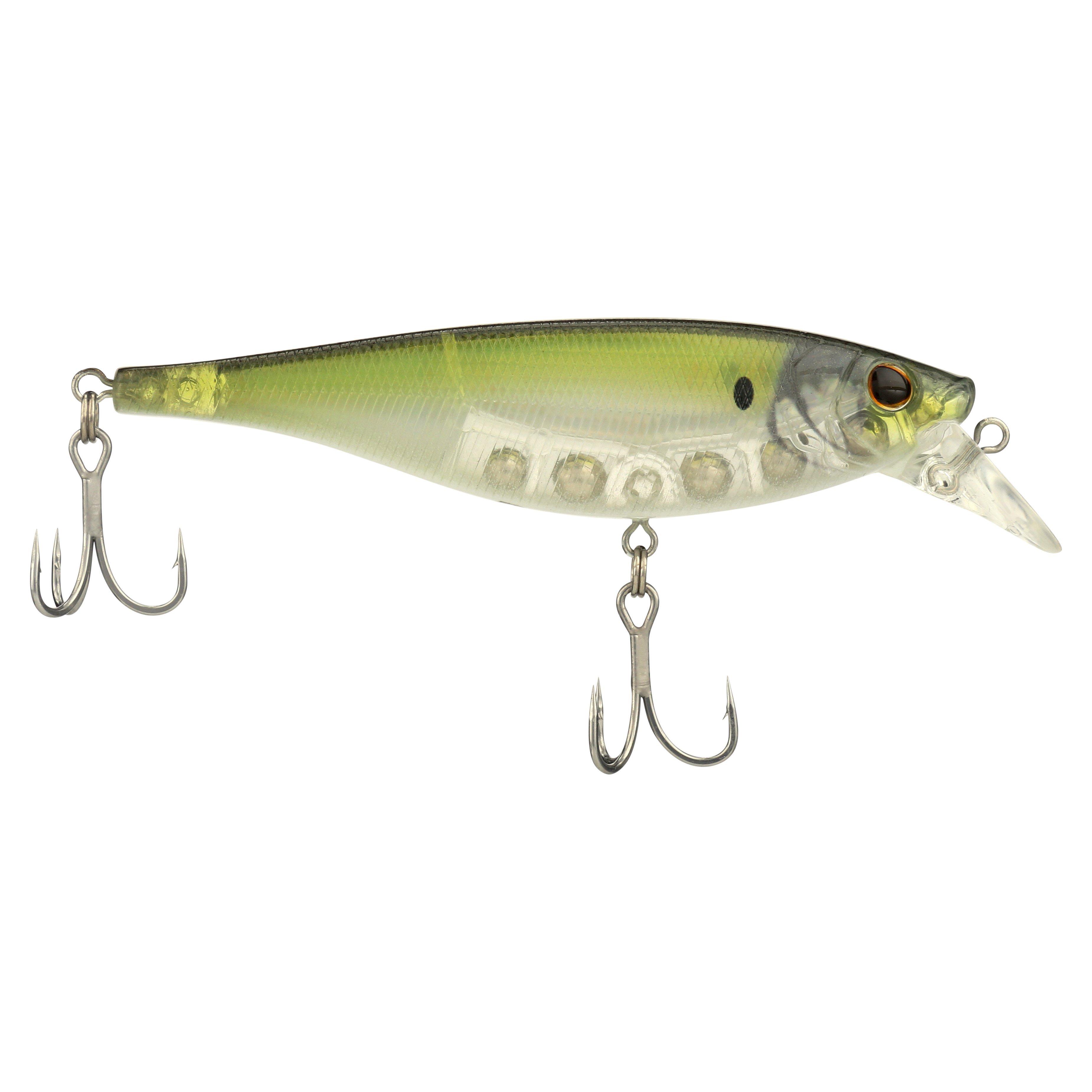 HD Pilchard