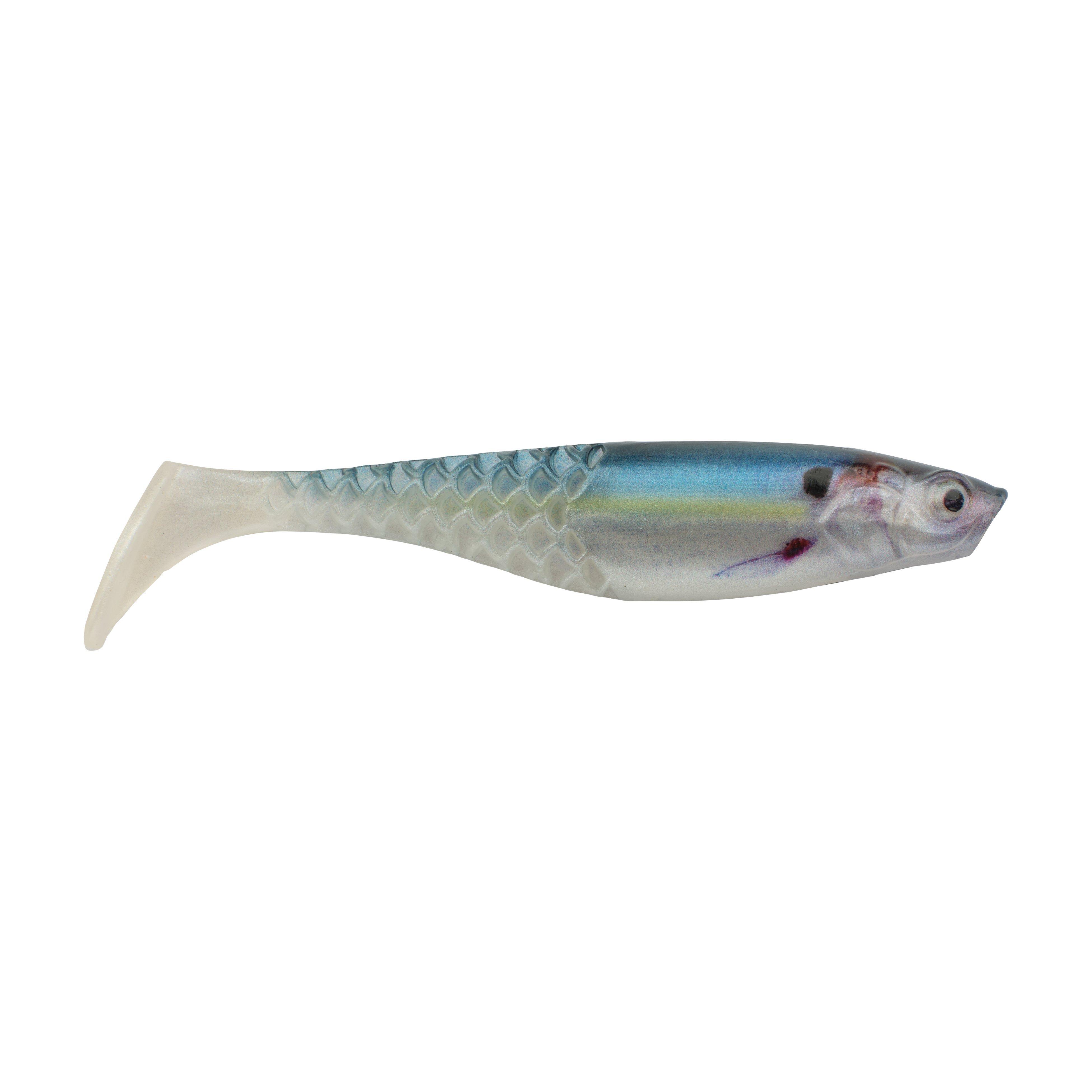 HD Gizzard Shad