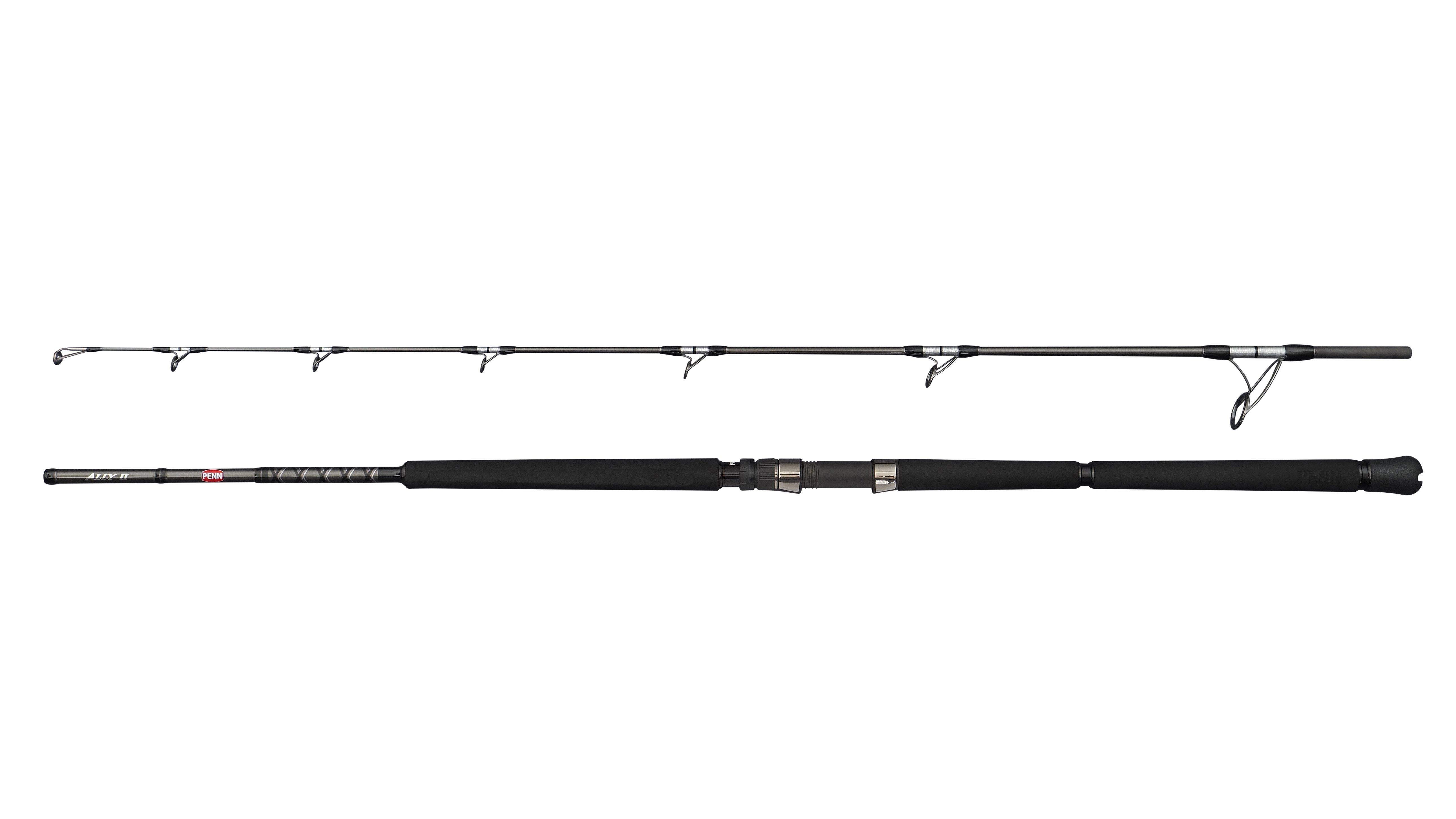Ally II Offshore Casting Rod