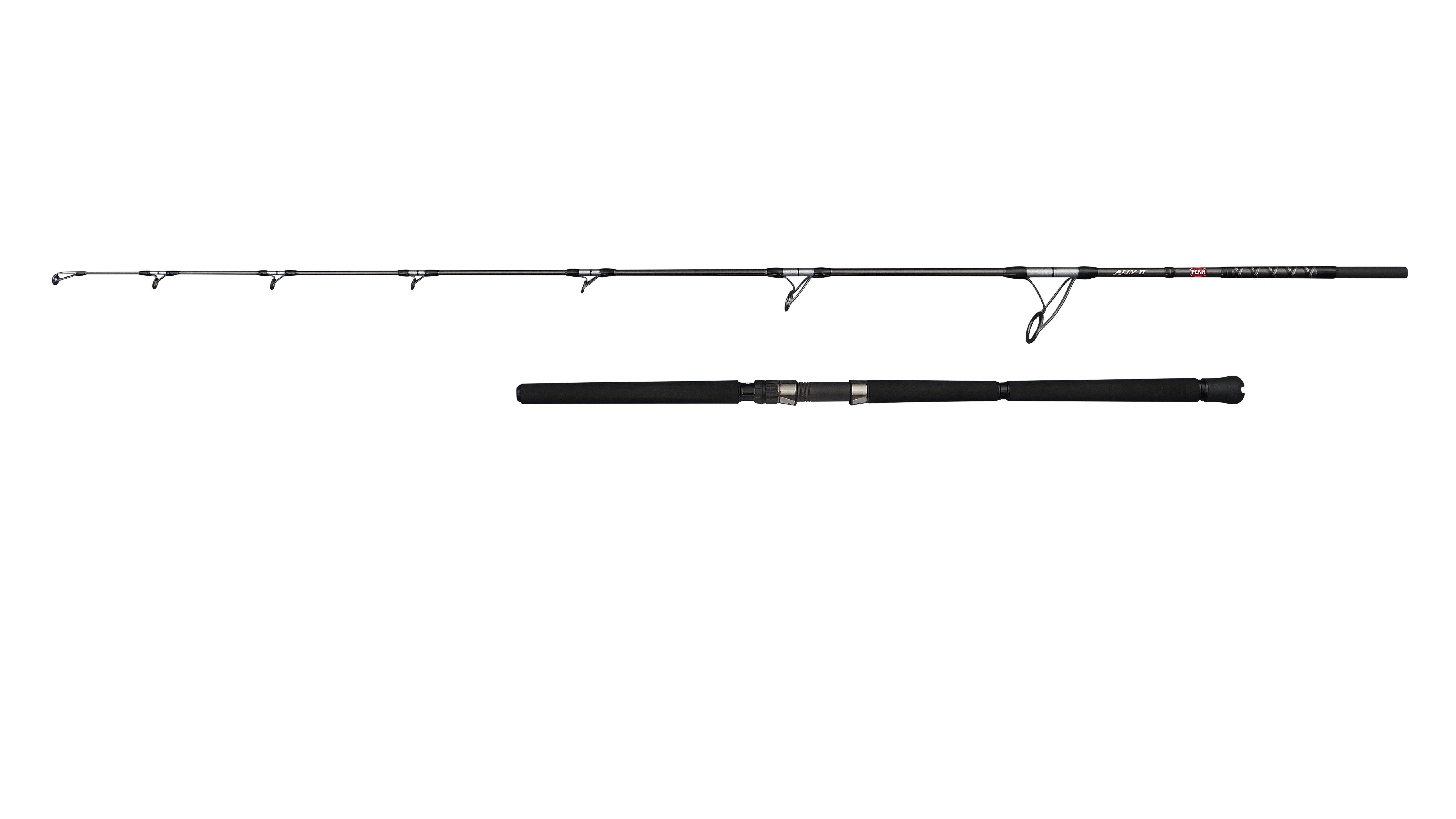 Ally II Offshore Casting Rod
