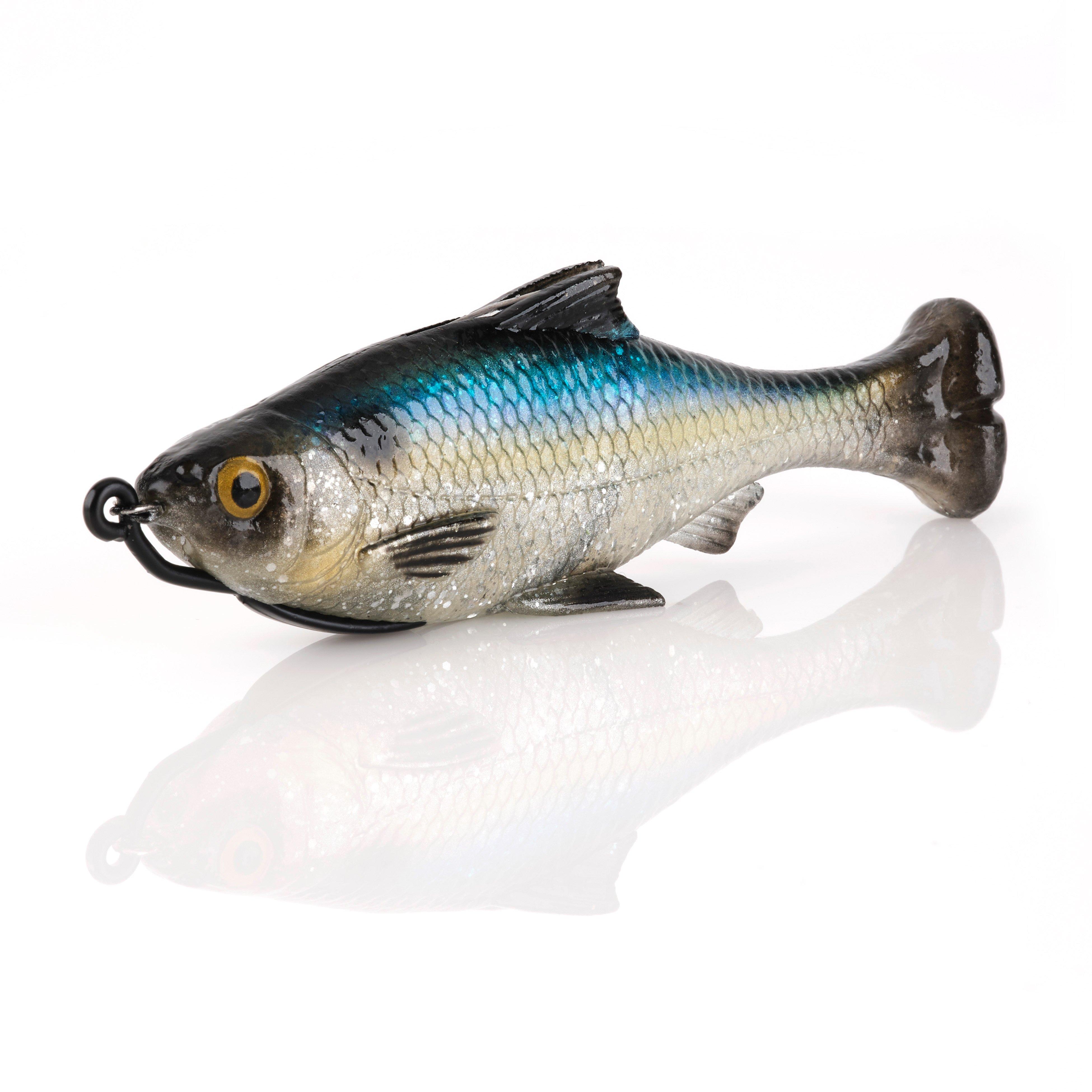 Sexy Shad