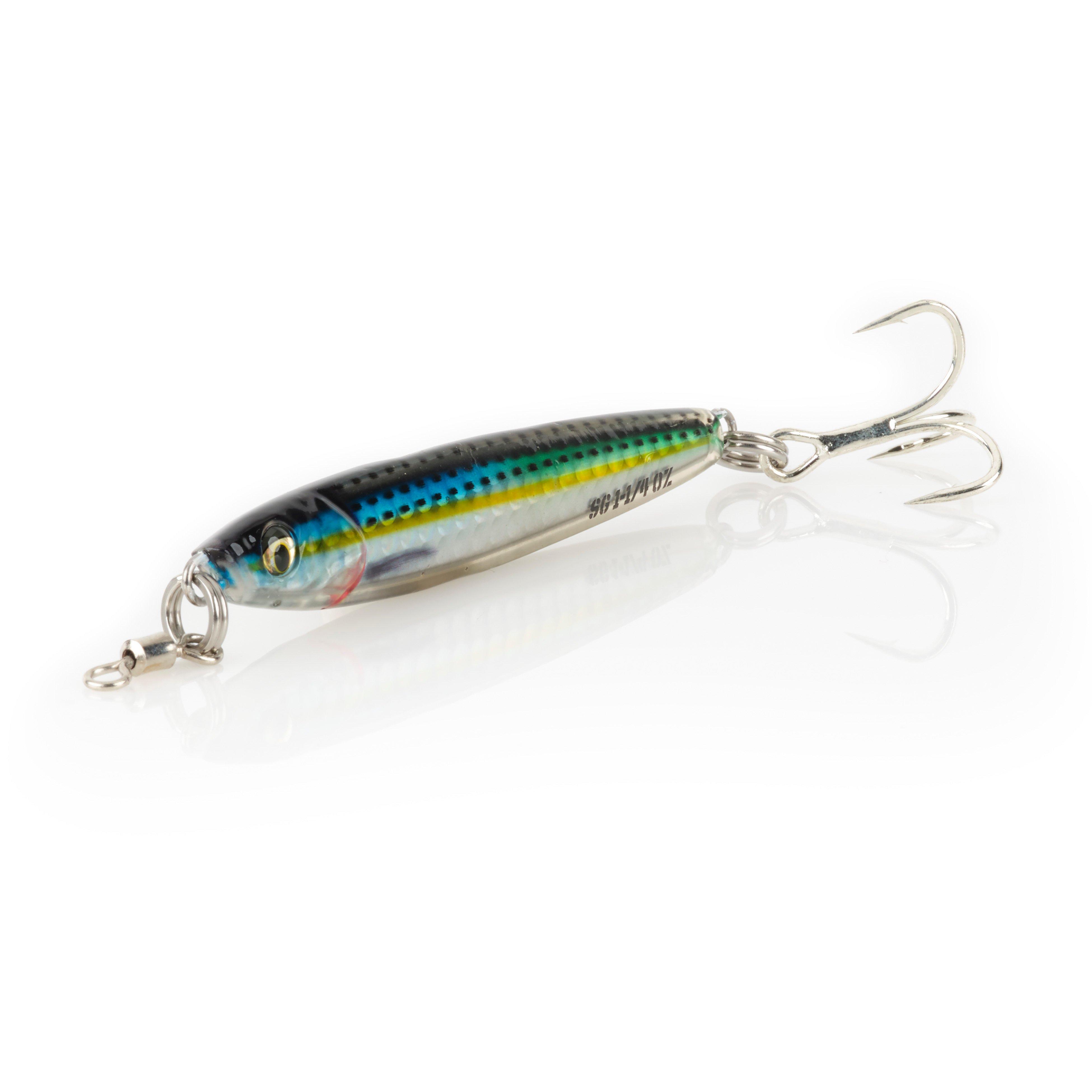 Blueback Herring