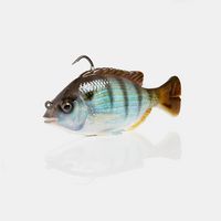 White Pinfish