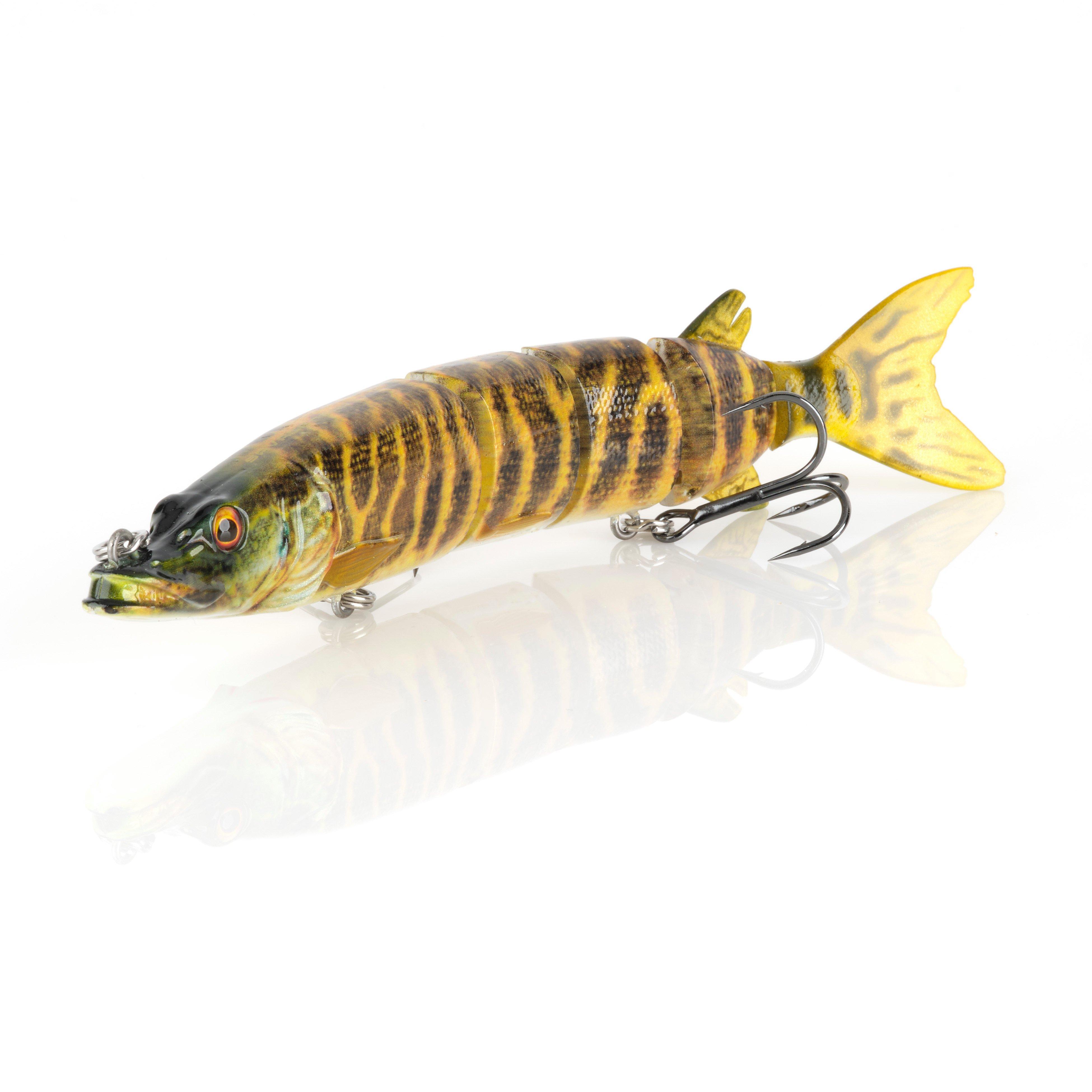 Striped Pike