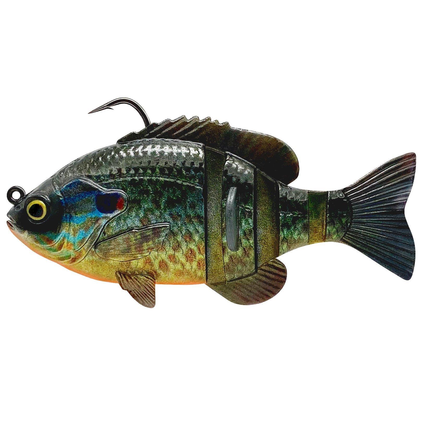 Pumpkinseed