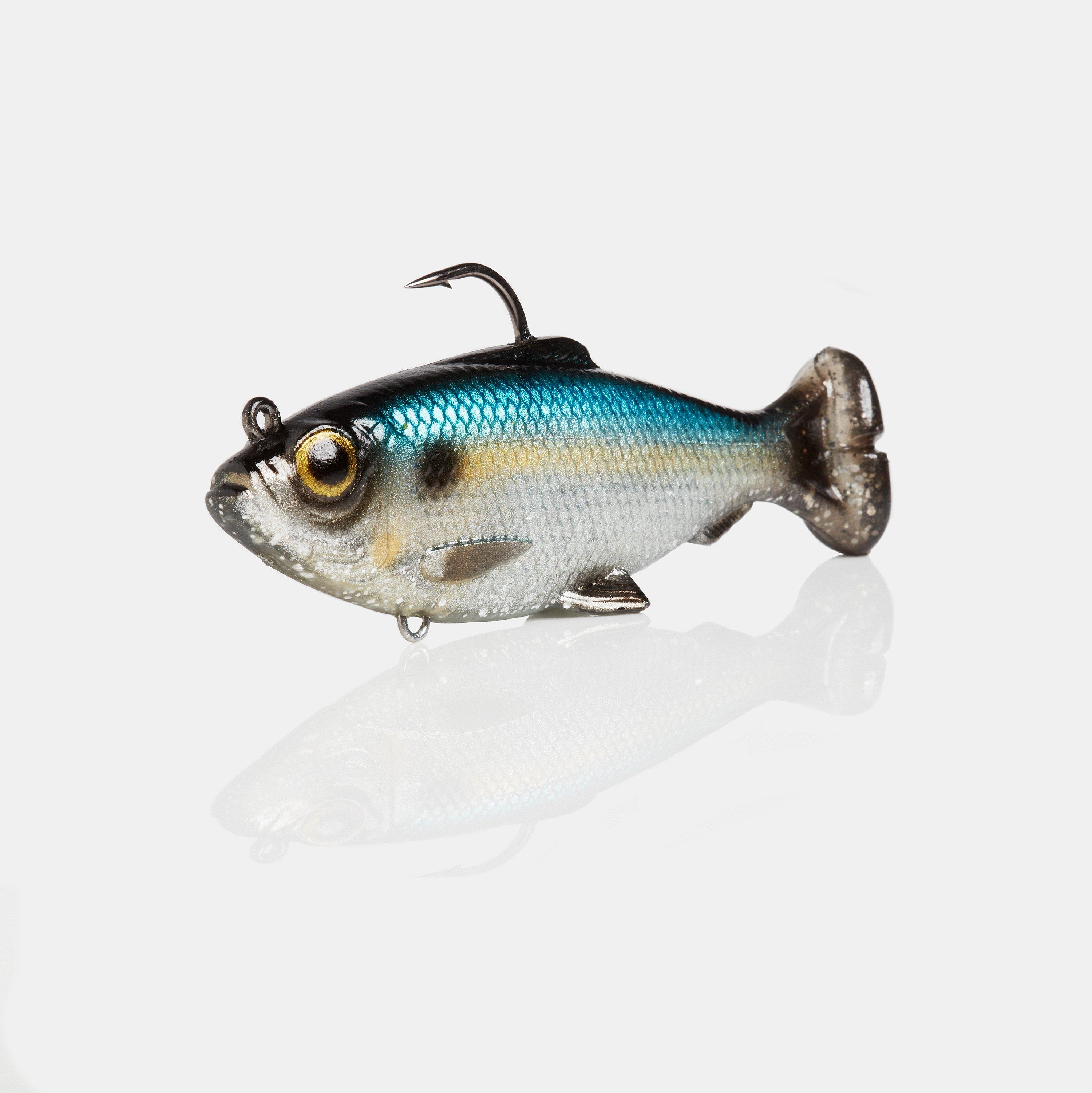 Sexy Shad