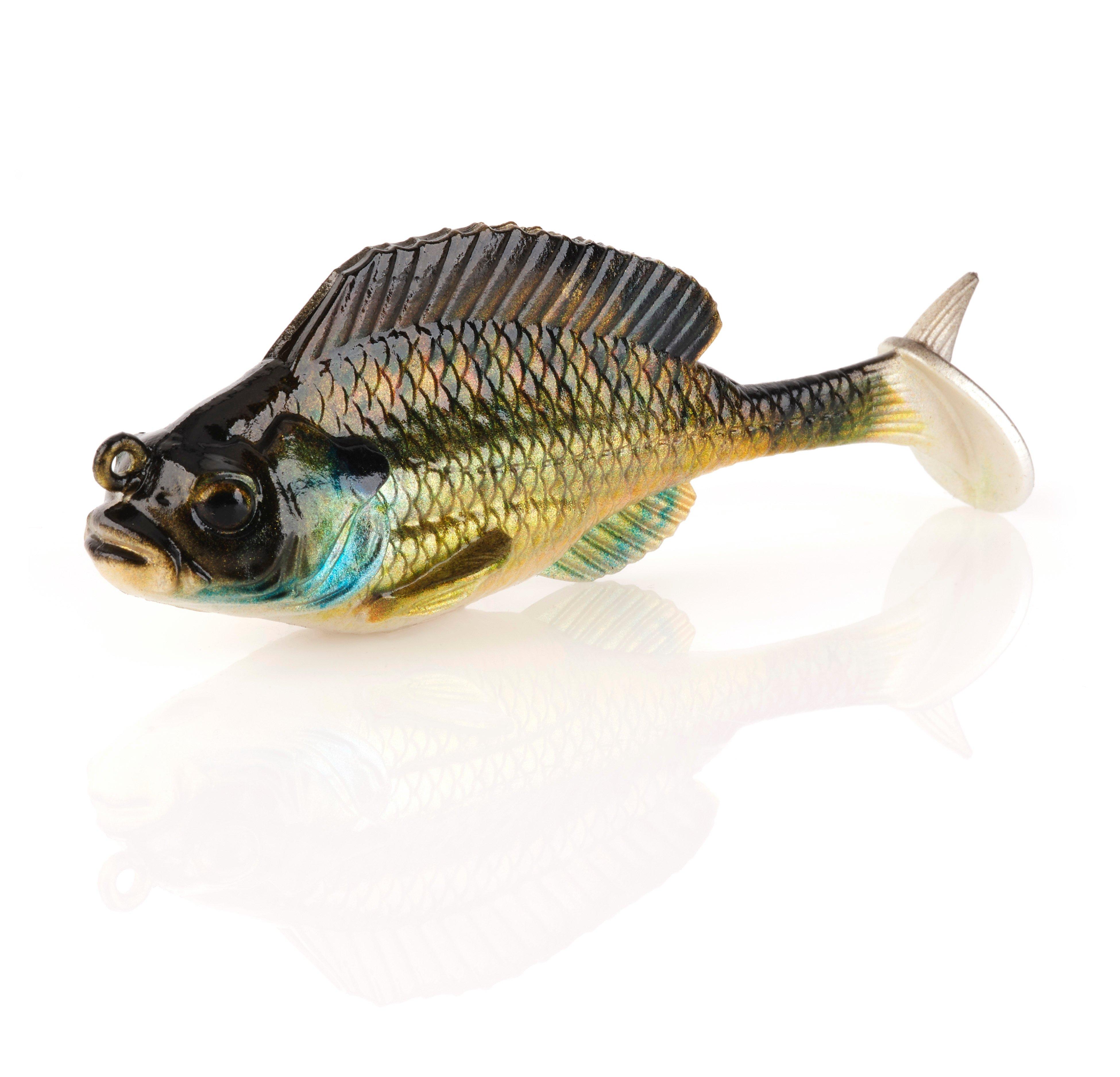 Bream