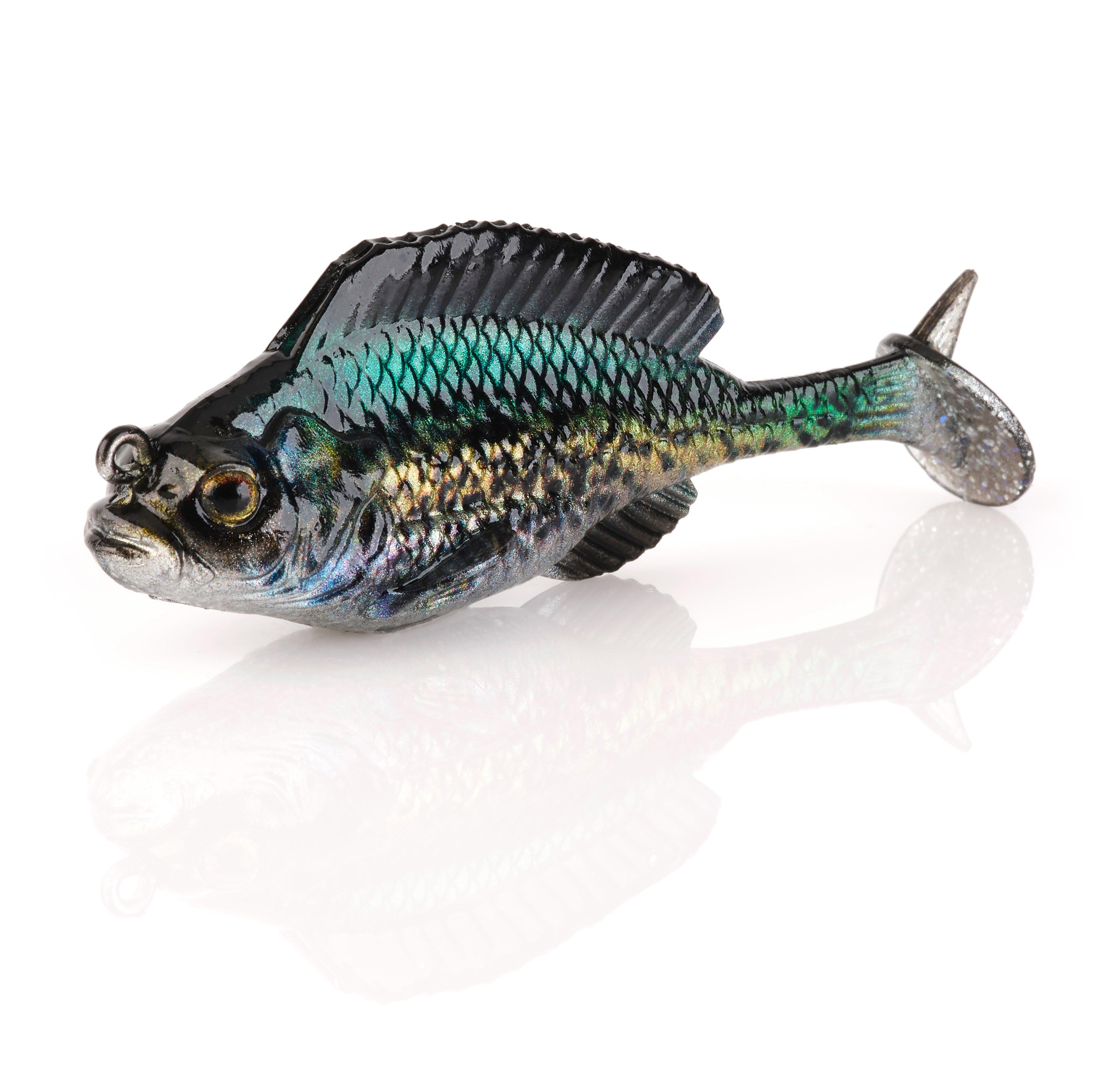 Crappie